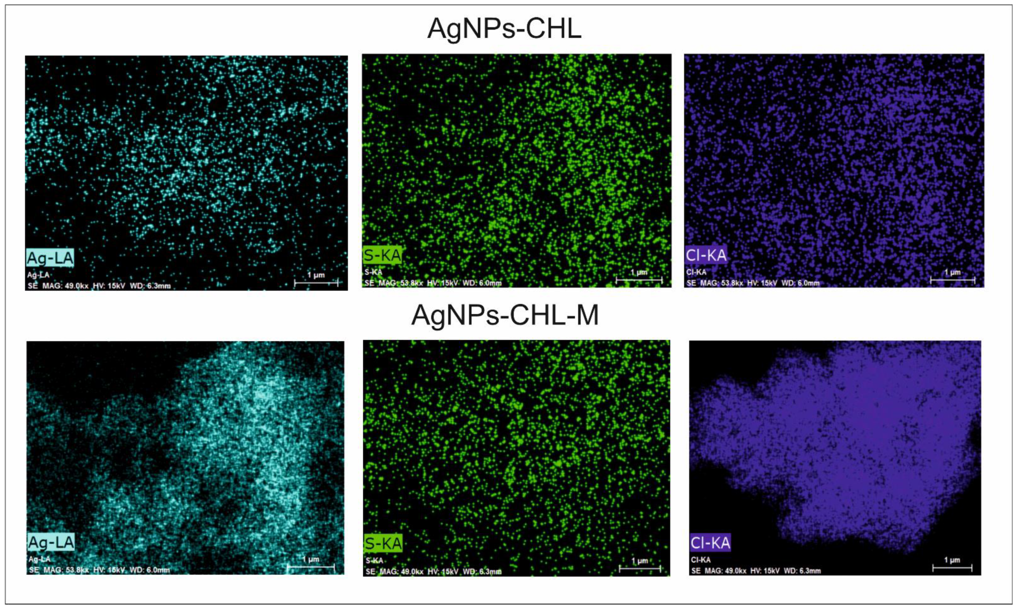 Biomolecules 15 00850 g004