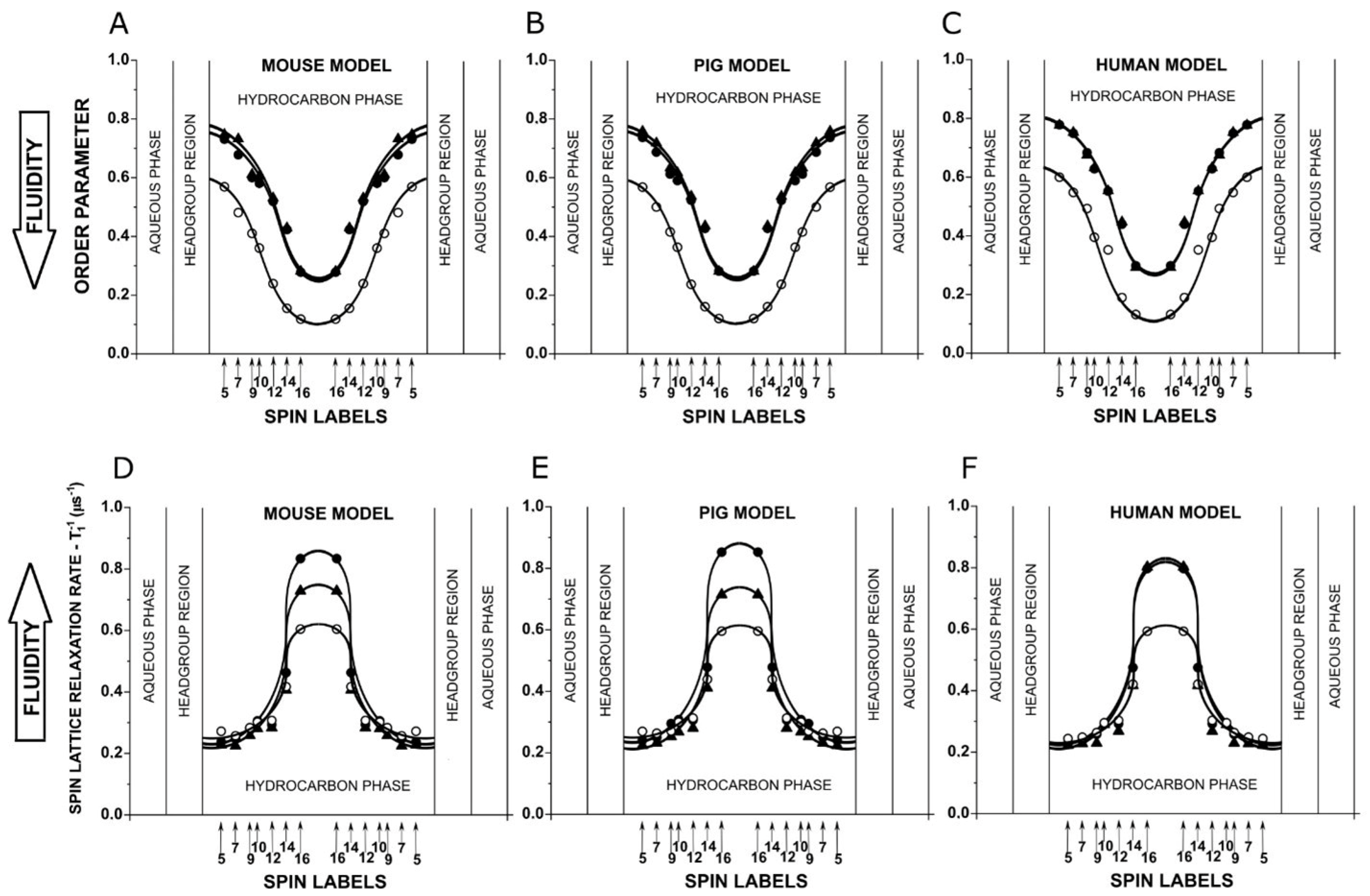 Biomolecules 15 00851 g001
