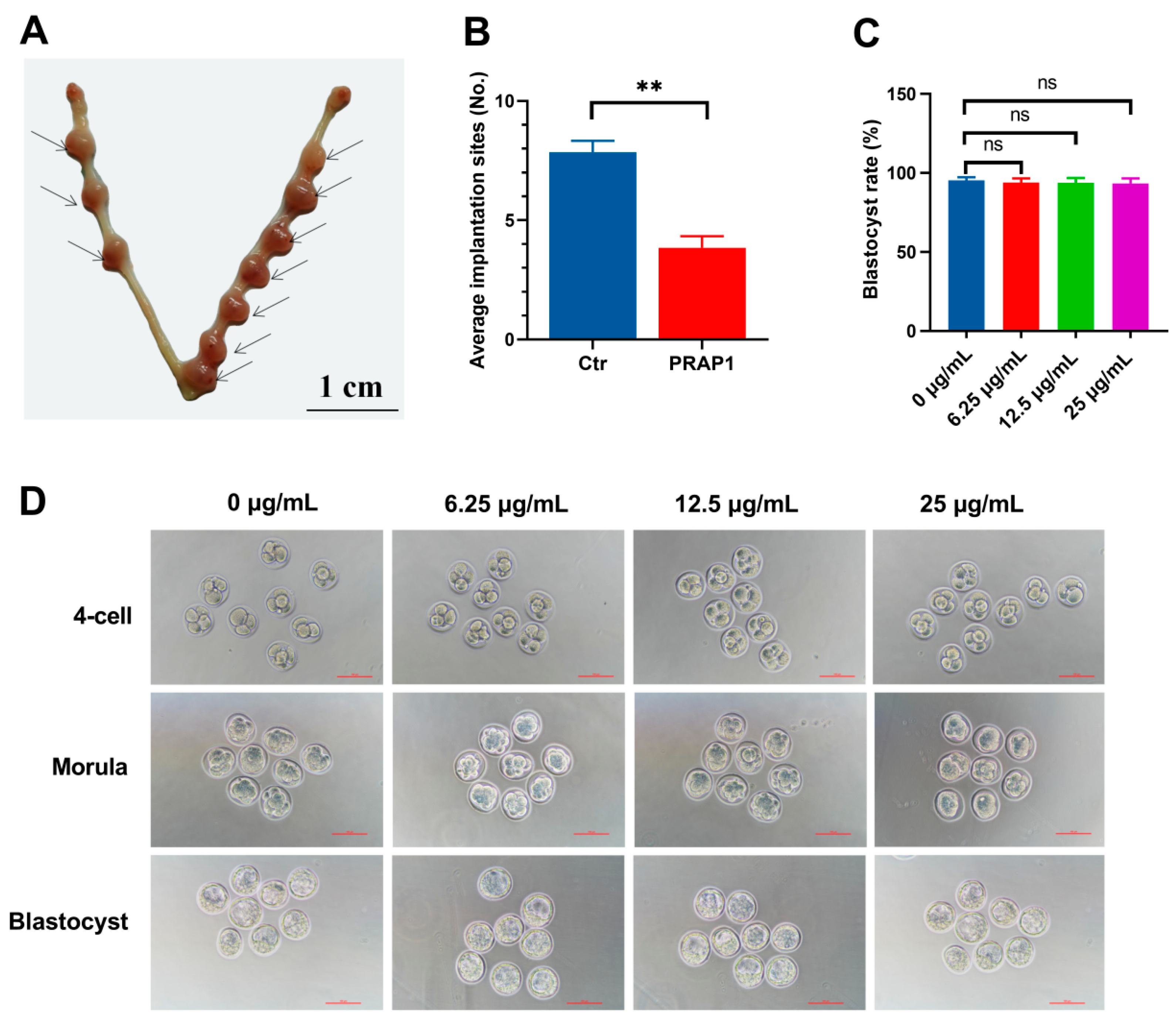 Biomolecules 15 00852 g002