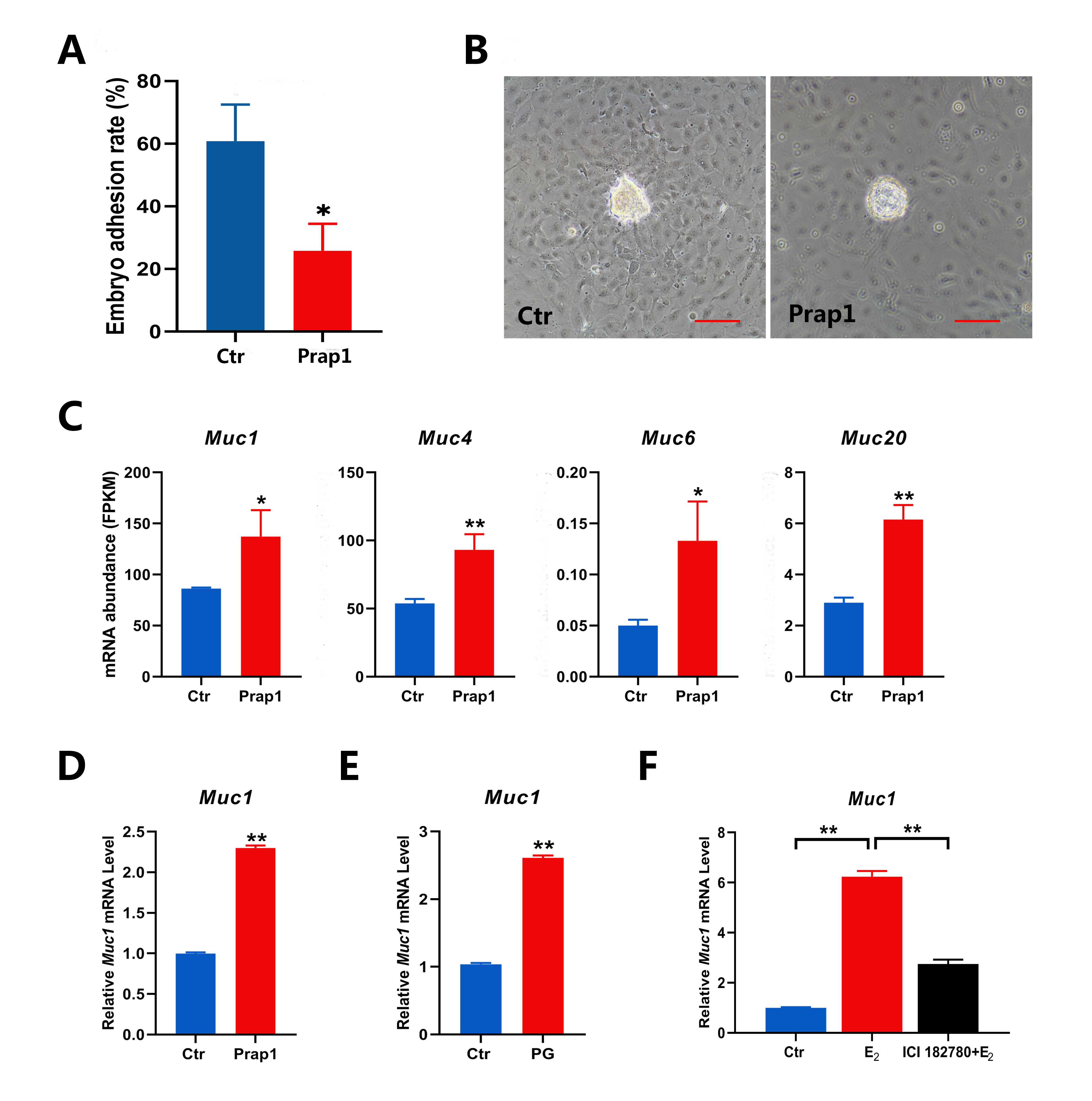 Biomolecules 15 00852 g005