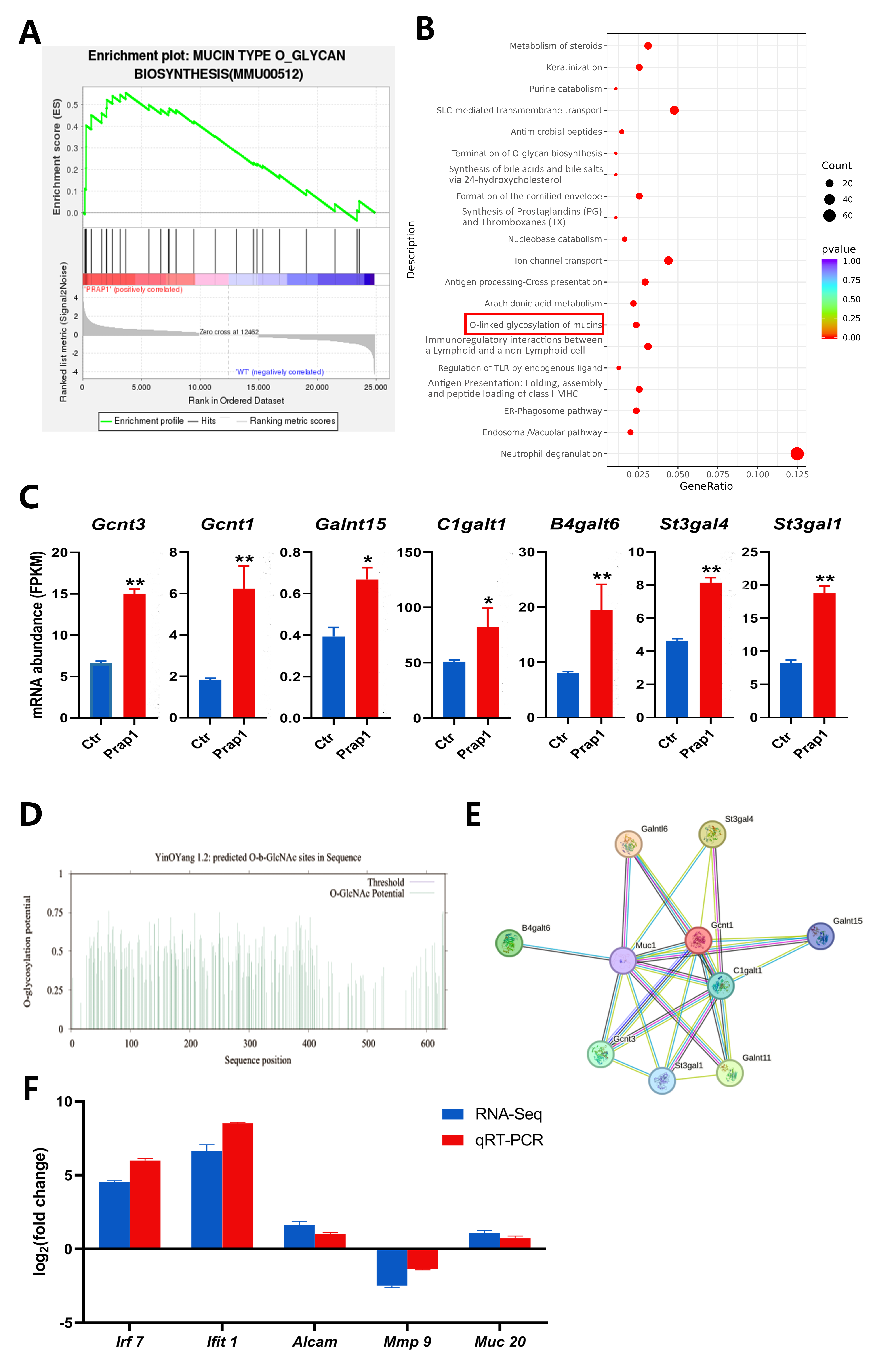 Biomolecules 15 00852 g006