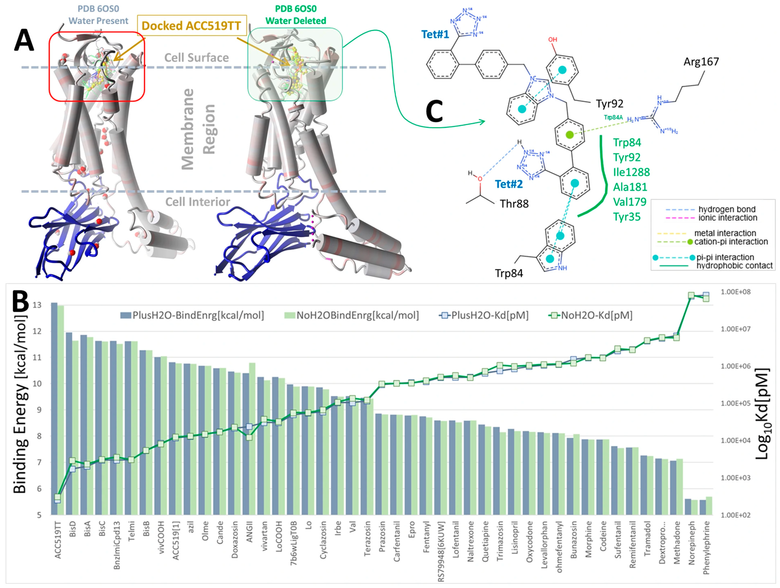 Biomolecules 15 00855 g001