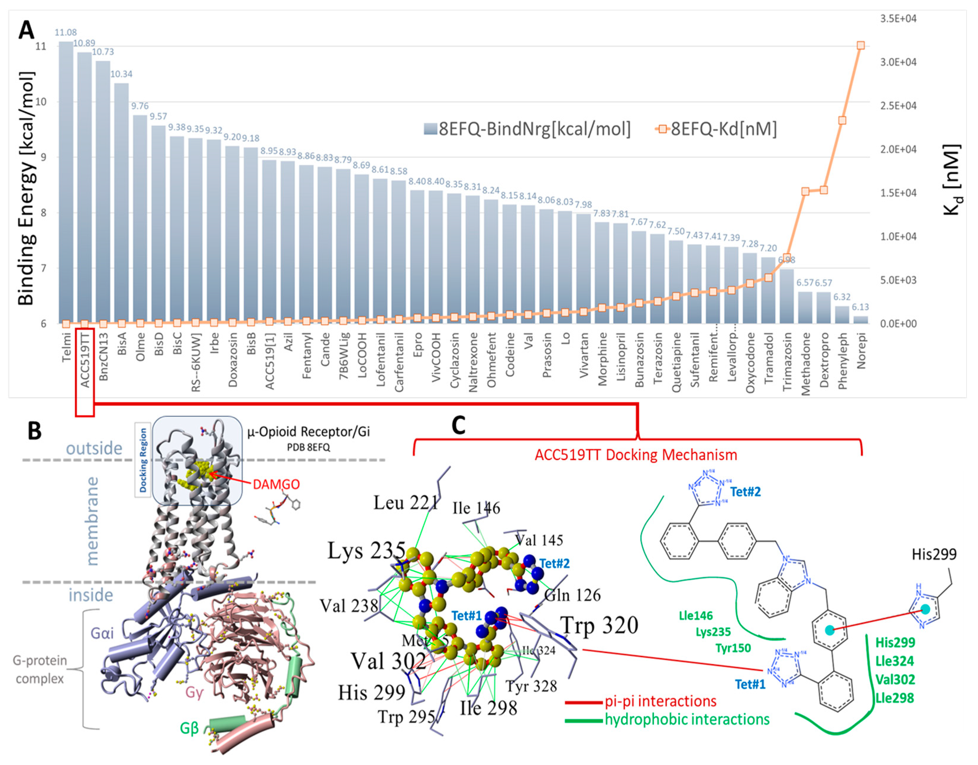 Biomolecules 15 00855 g007
