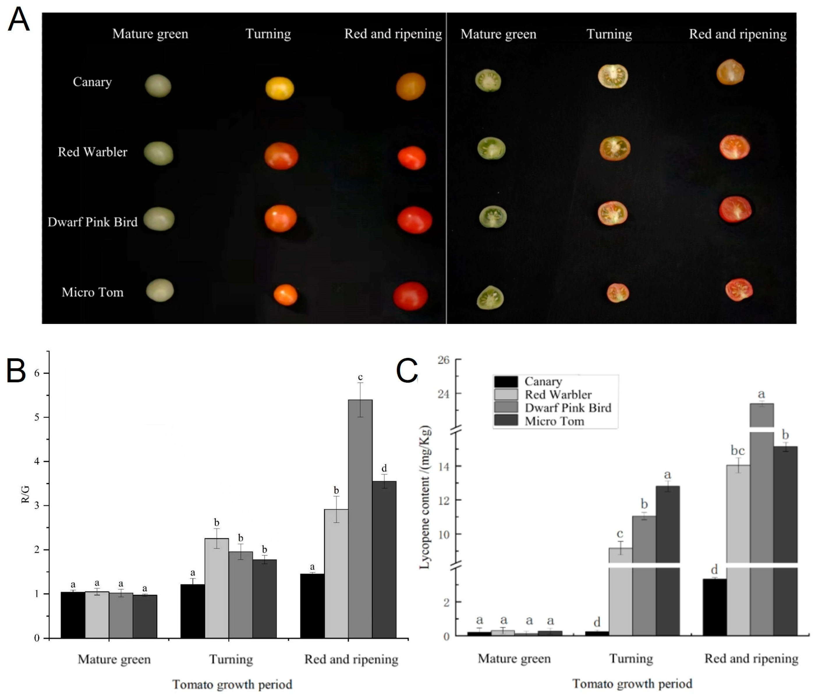 Biomolecules 15 00857 g001