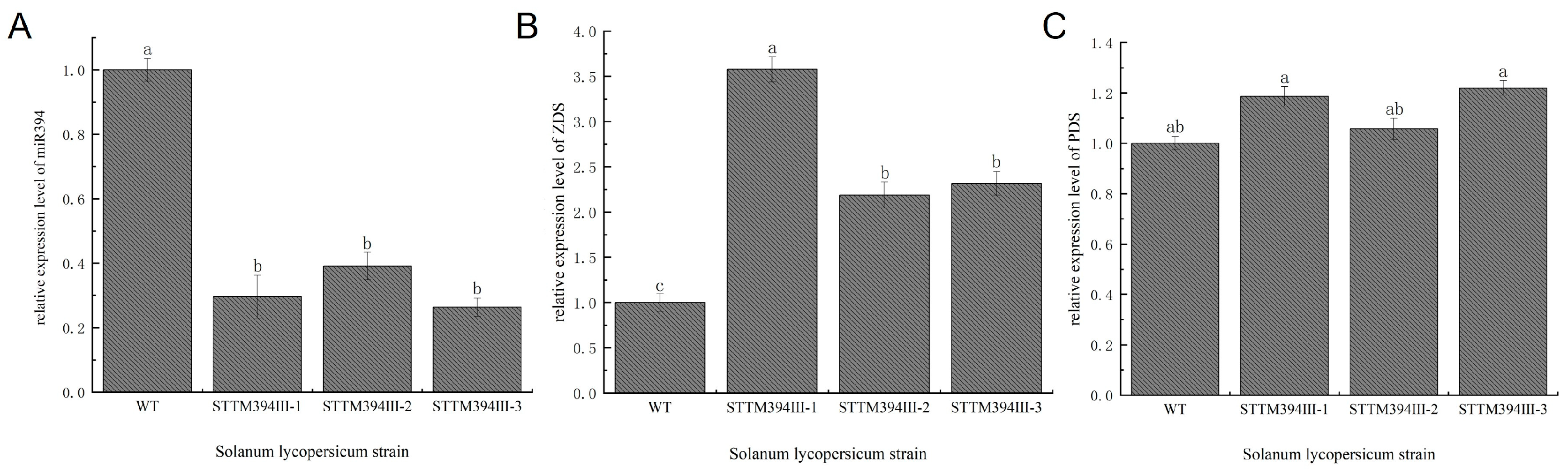 Biomolecules 15 00857 g007