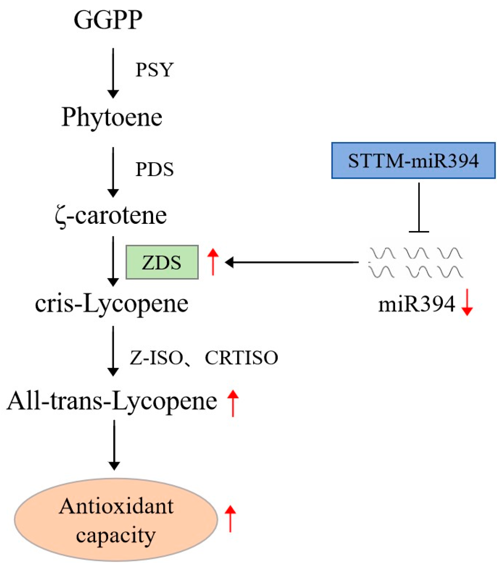 Biomolecules 15 00857 g010