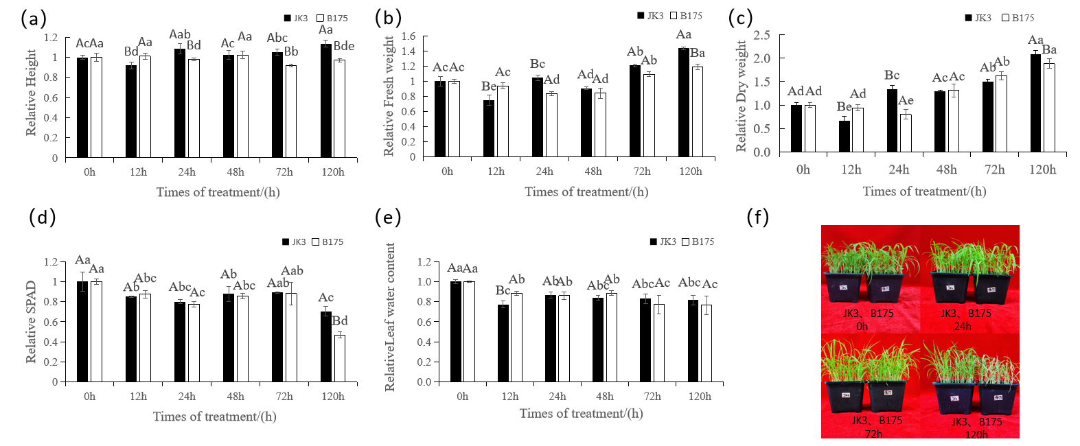 Biomolecules 15 00859 g001