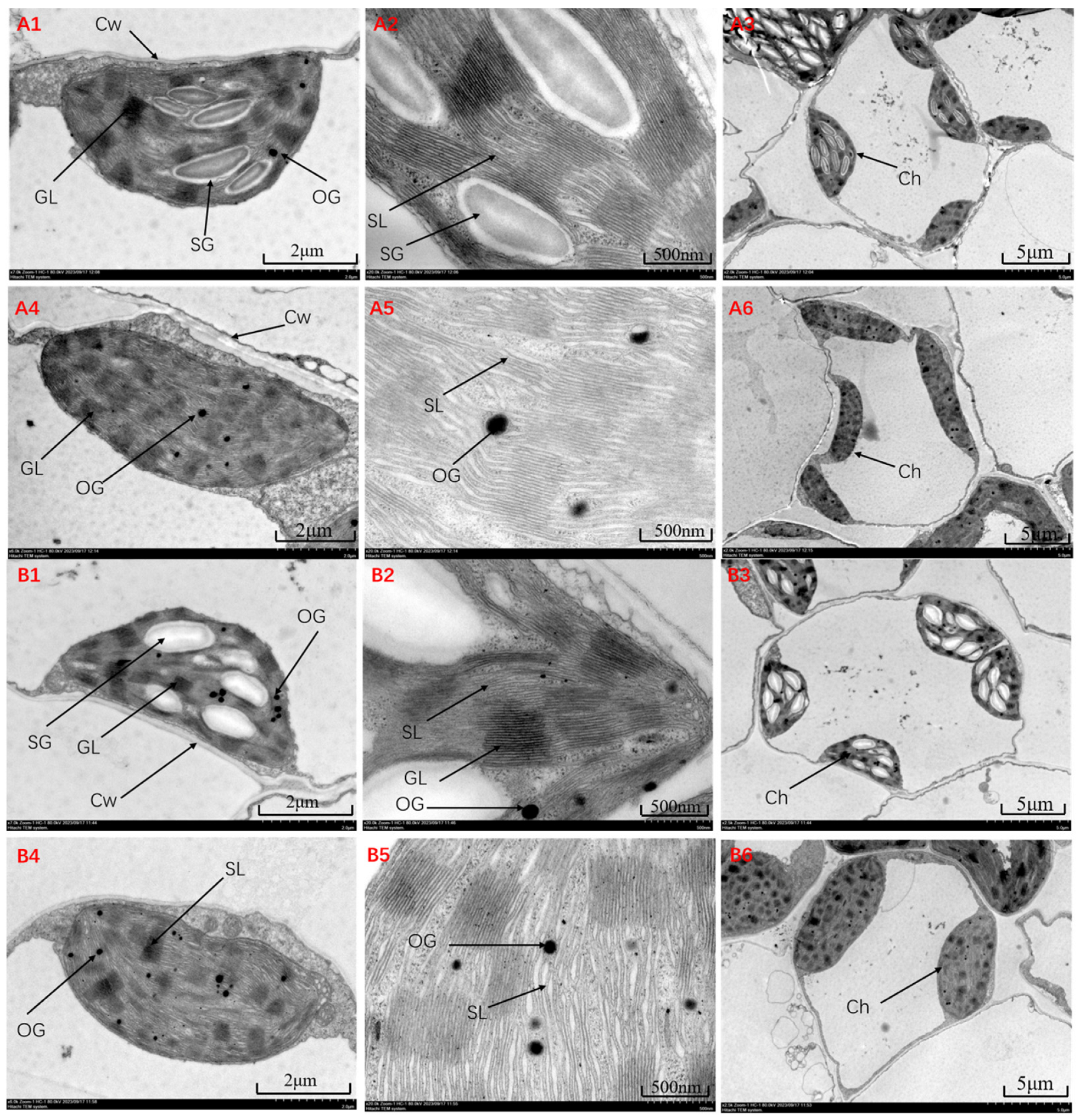 Biomolecules 15 00859 g002