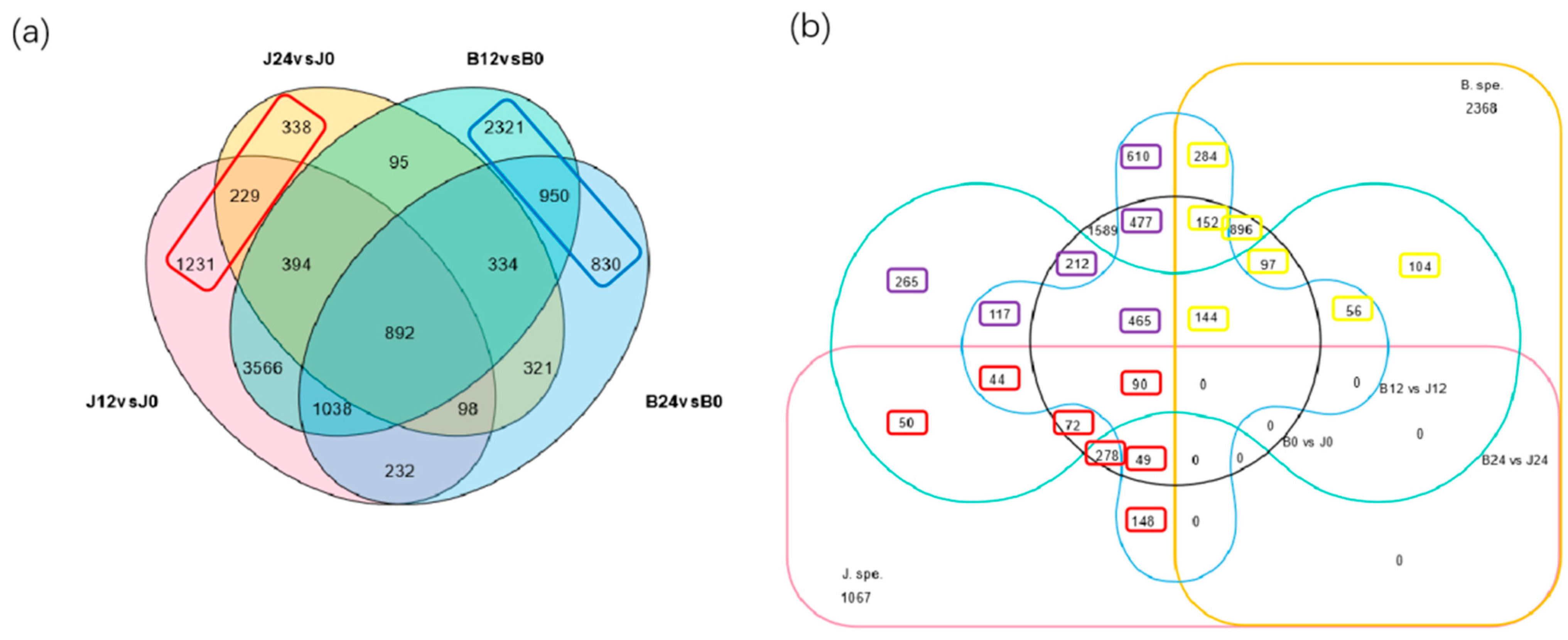 Biomolecules 15 00859 g004