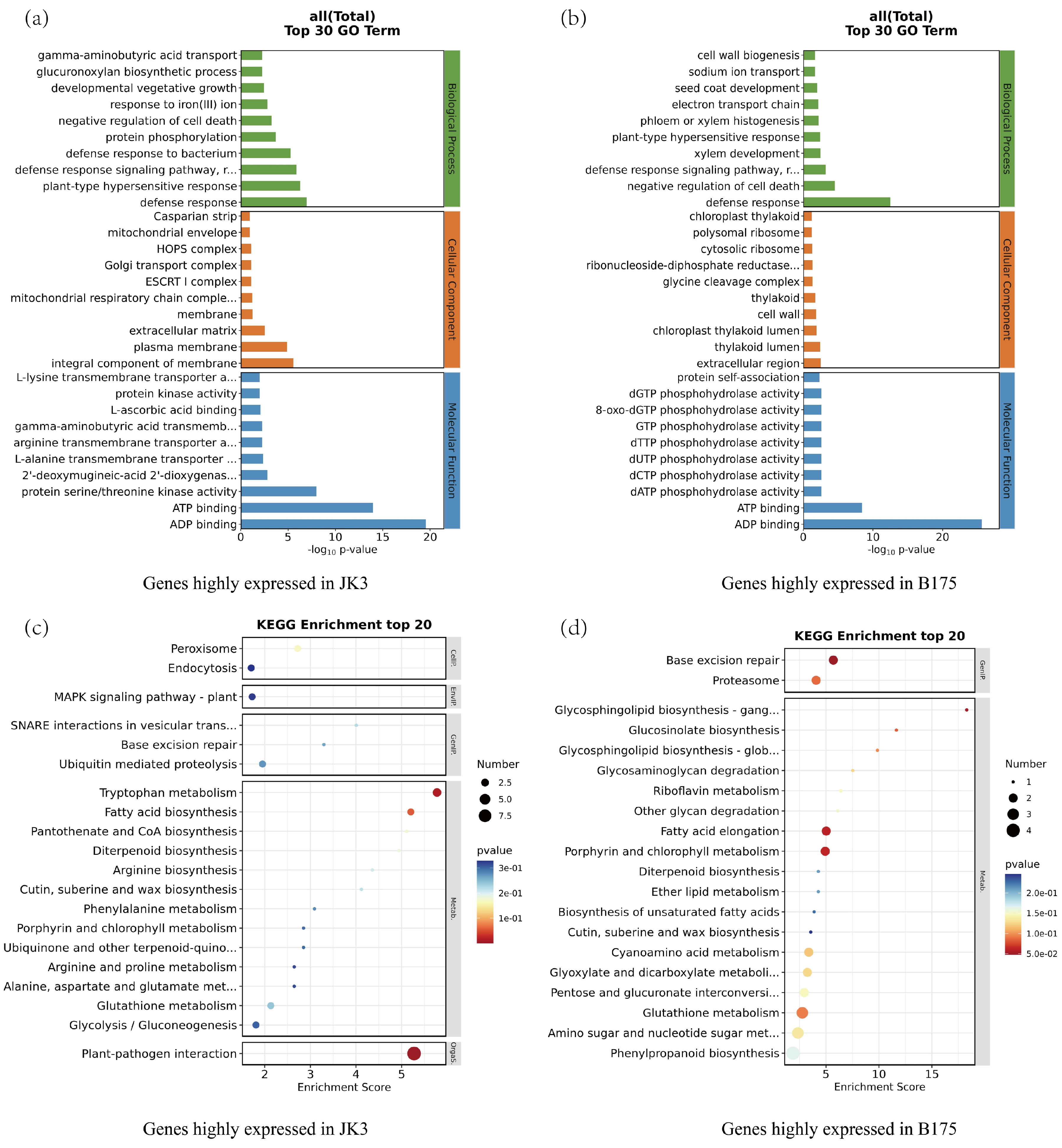 Biomolecules 15 00859 g006