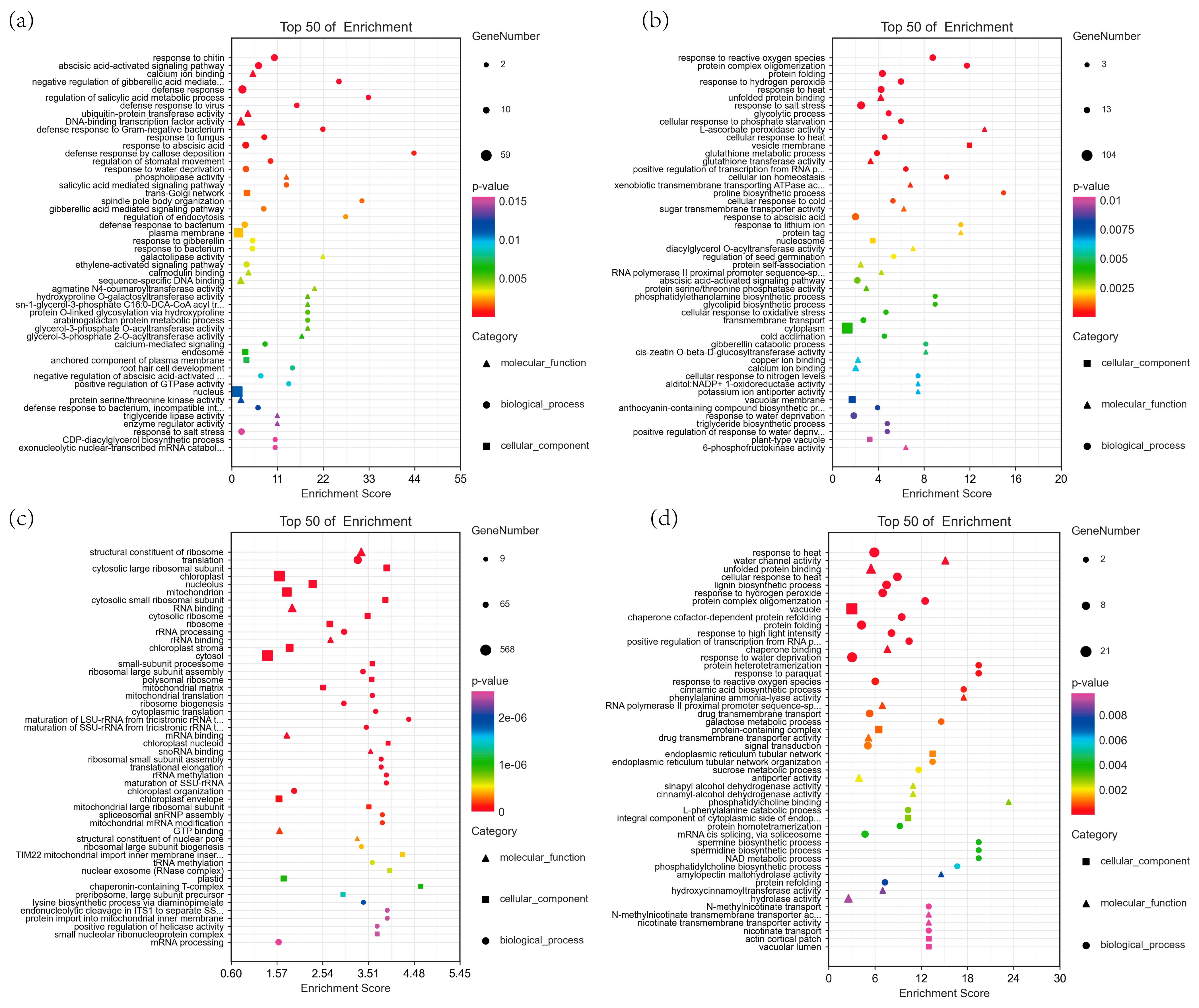 Biomolecules 15 00859 g009
