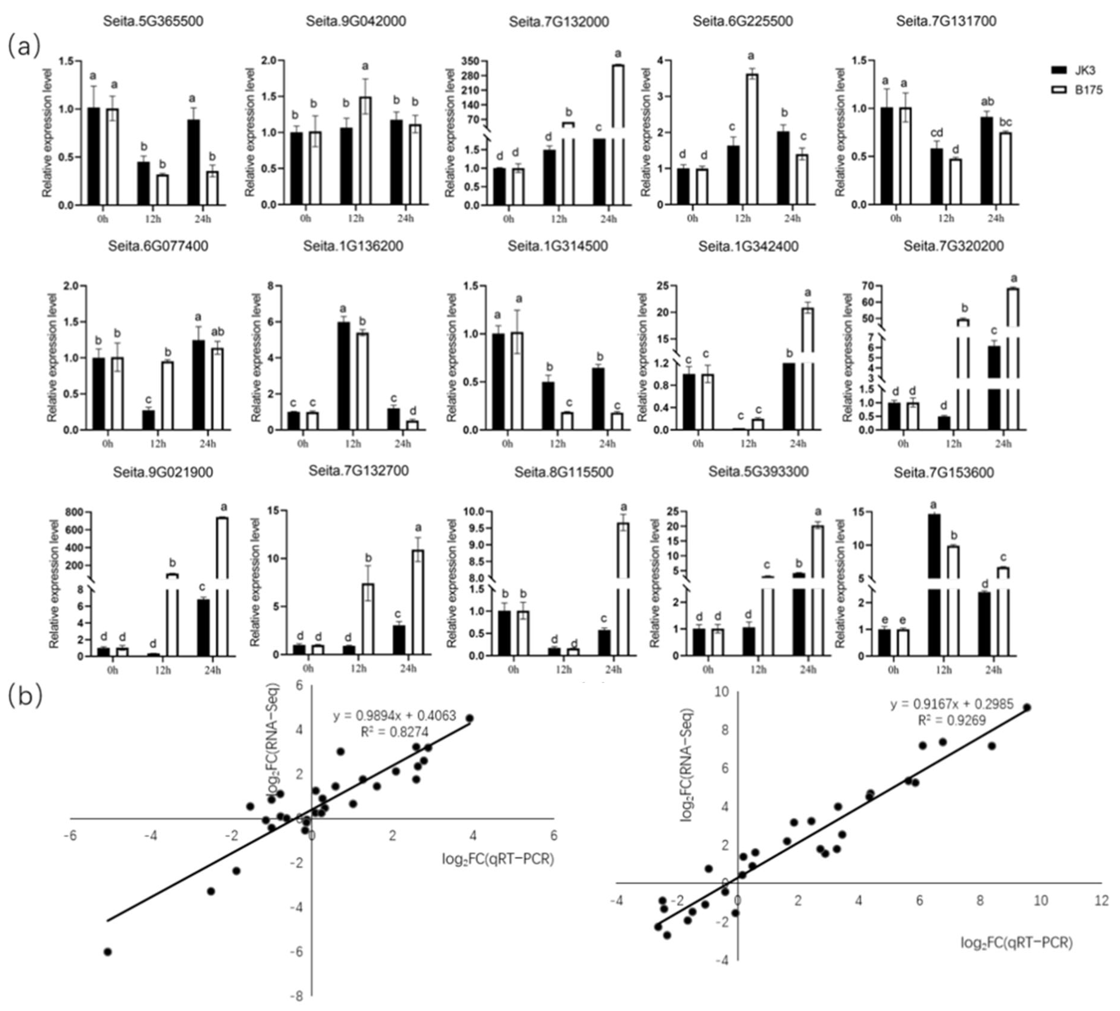 Biomolecules 15 00859 g011