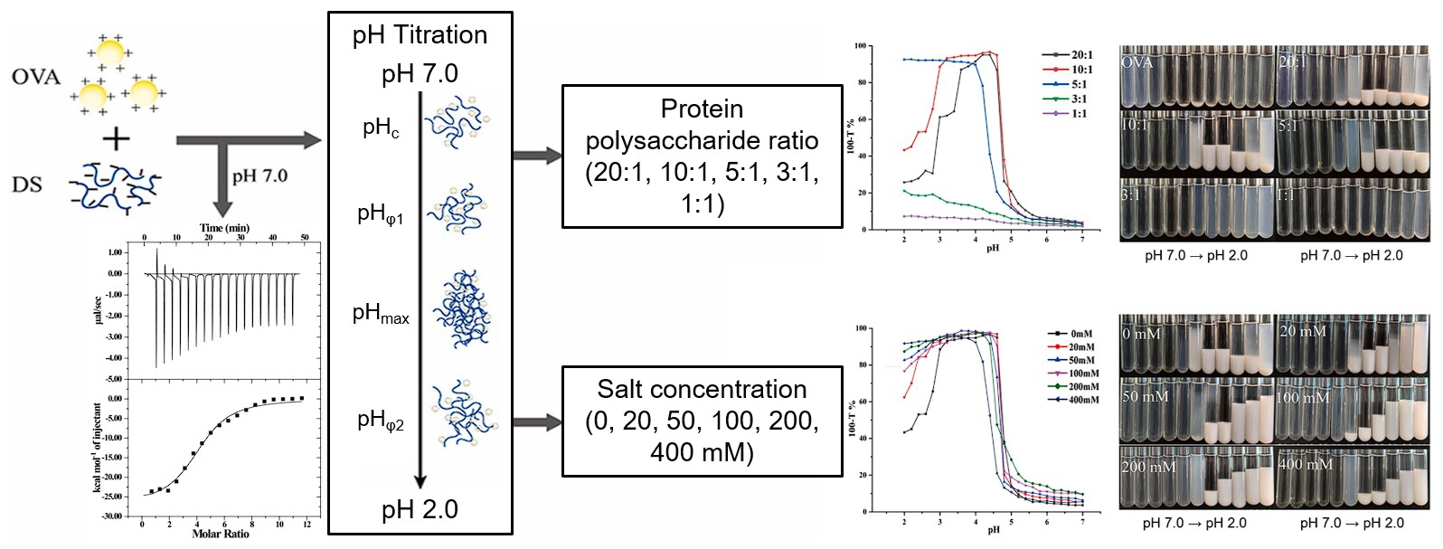 Biomolecules 15 00861 g003