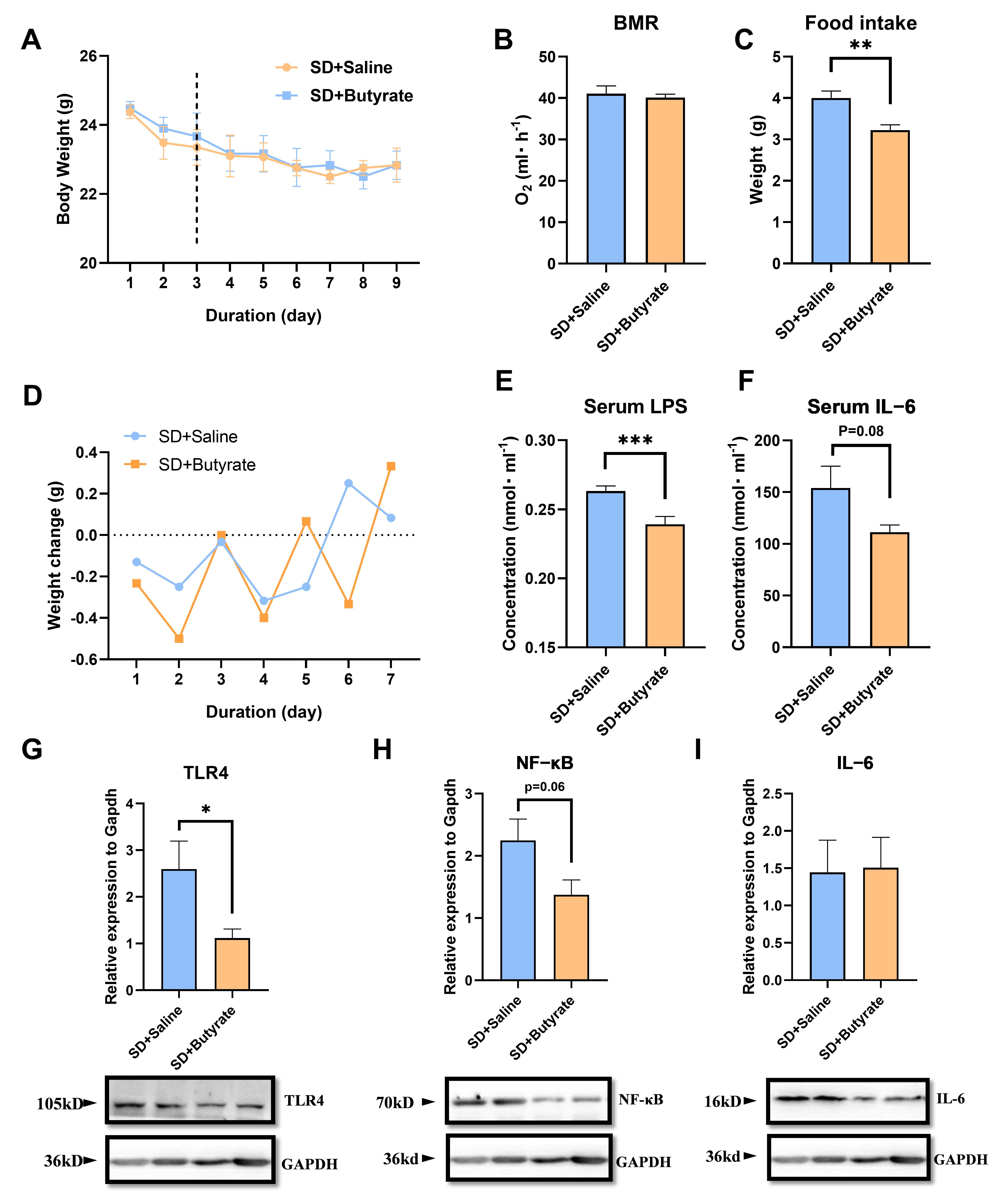 Biomolecules 15 00862 g004