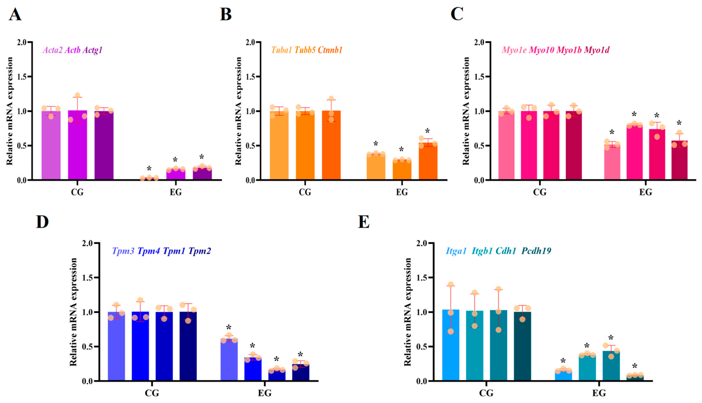 Biomolecules 15 00863 g001