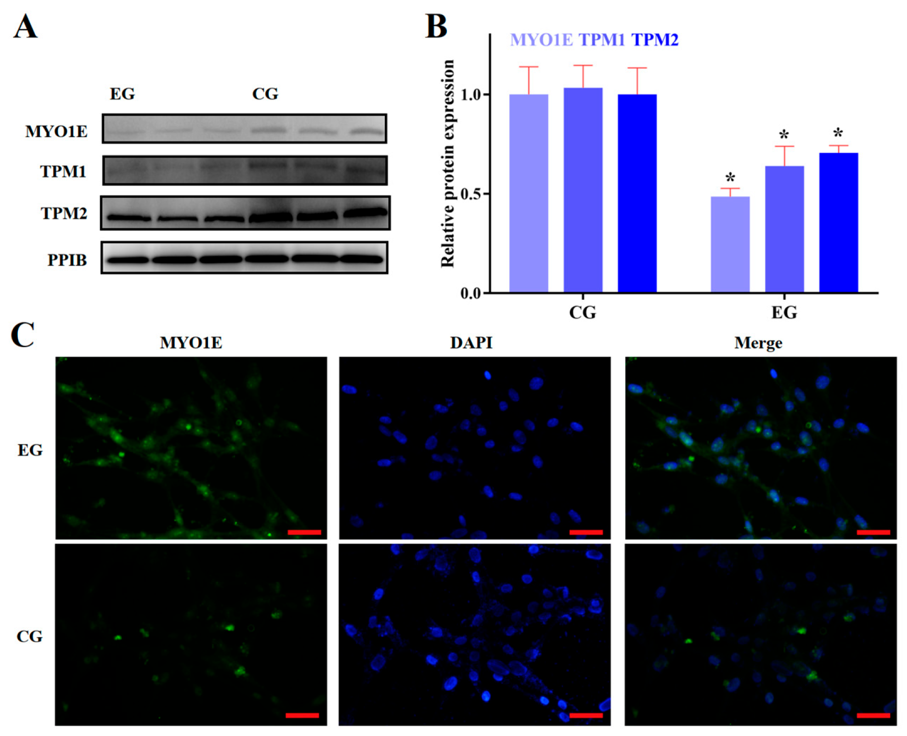 Biomolecules 15 00863 g002