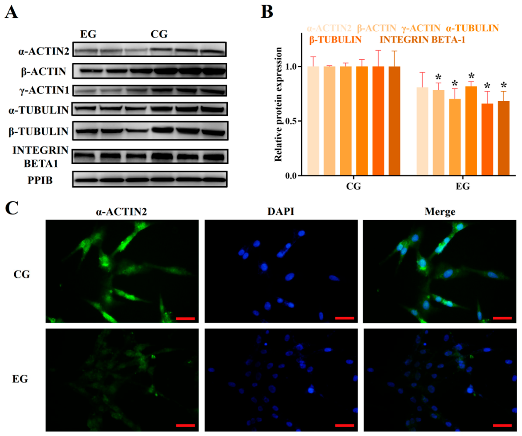 Biomolecules 15 00863 g003a