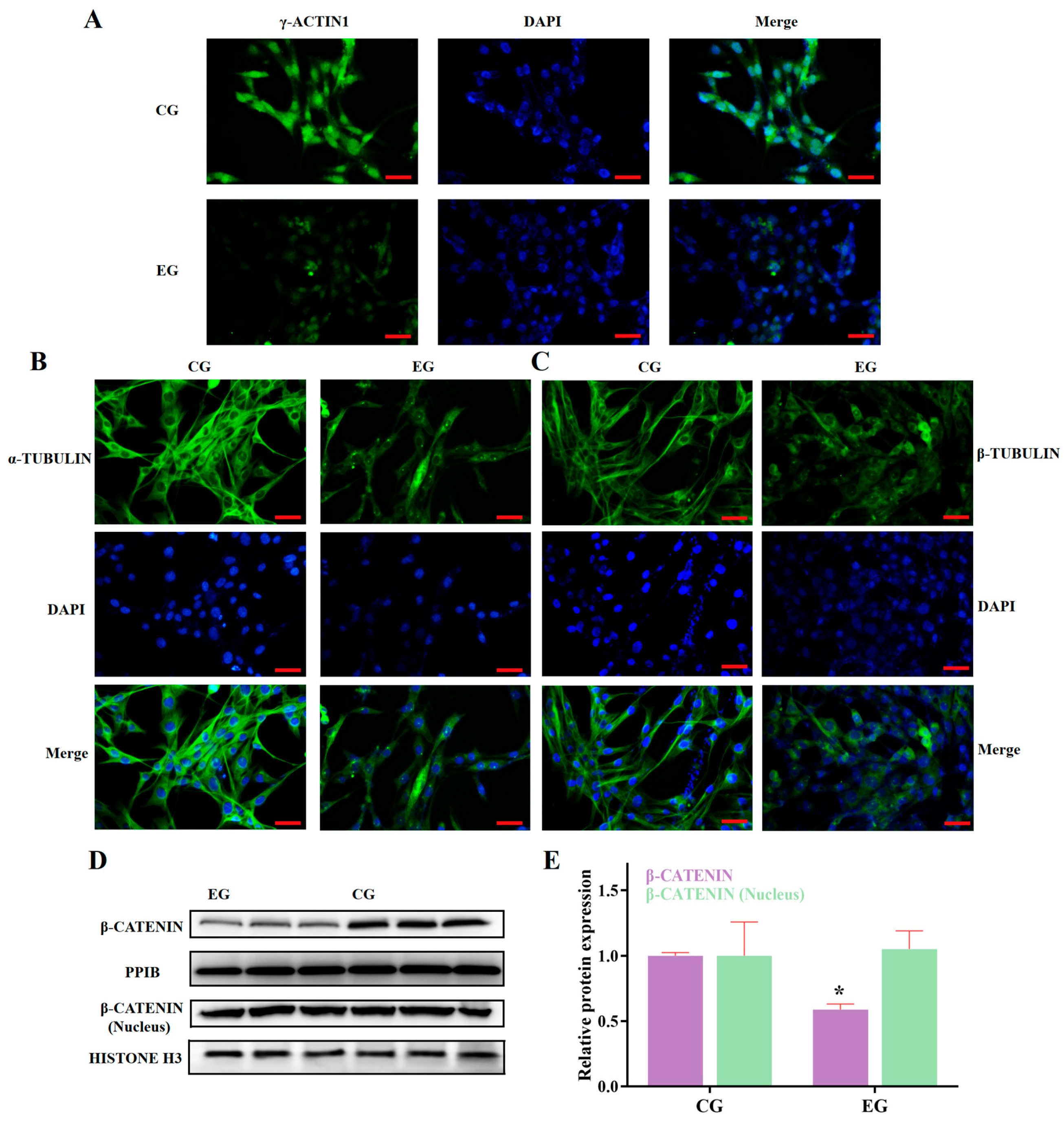 Biomolecules 15 00863 g004