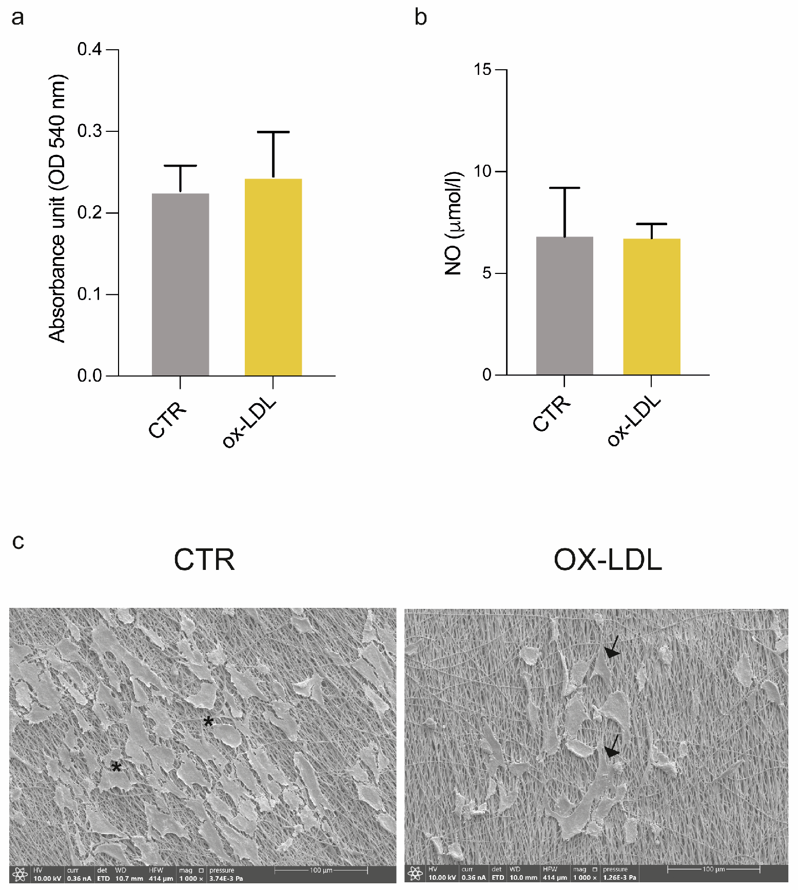 Biomolecules 15 00865 g004