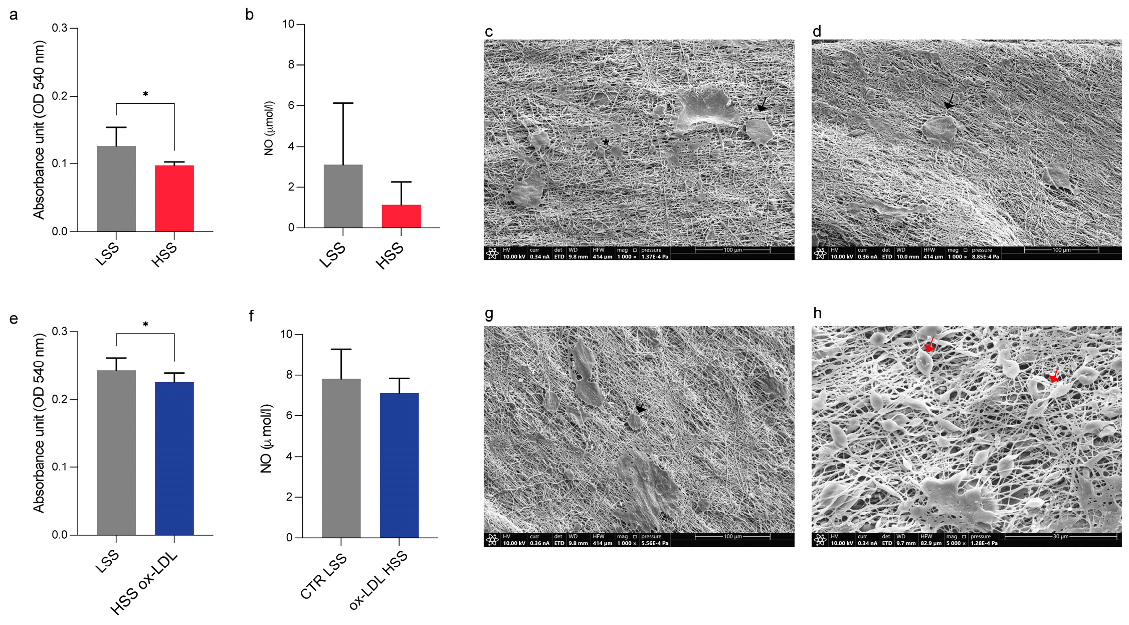 Biomolecules 15 00865 g005