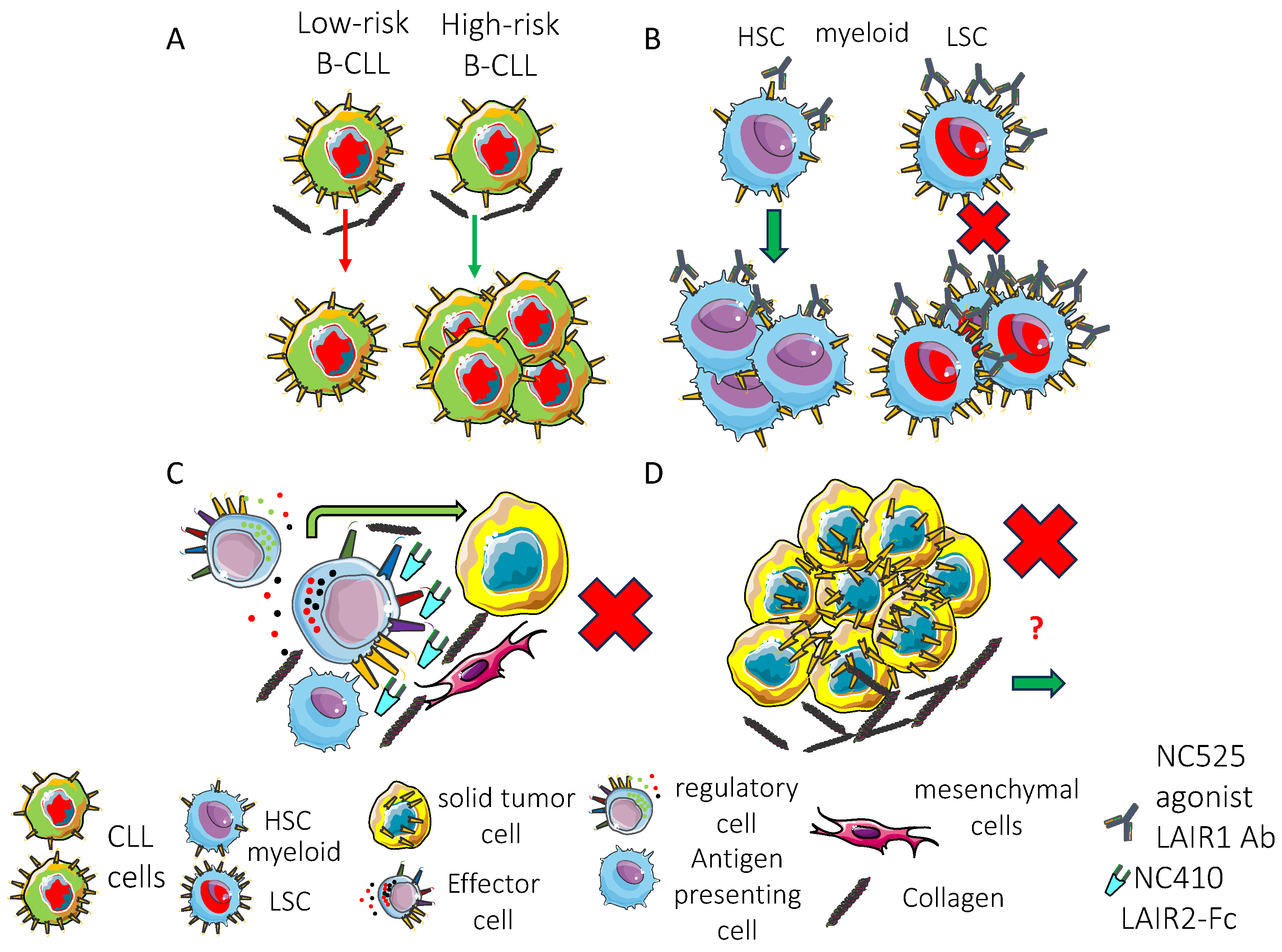 Biomolecules 15 00866 g004