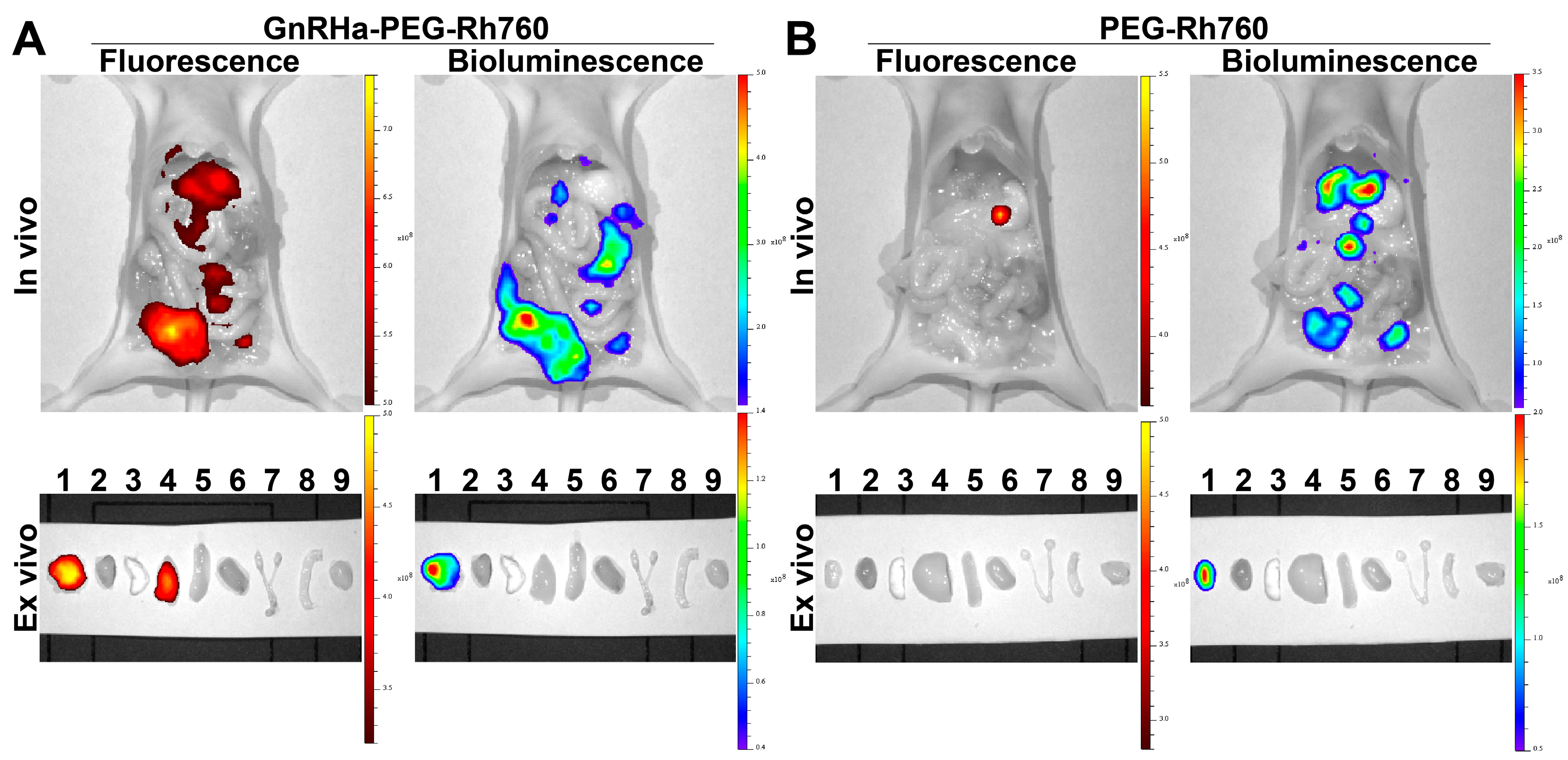 Biomolecules 15 00868 g003