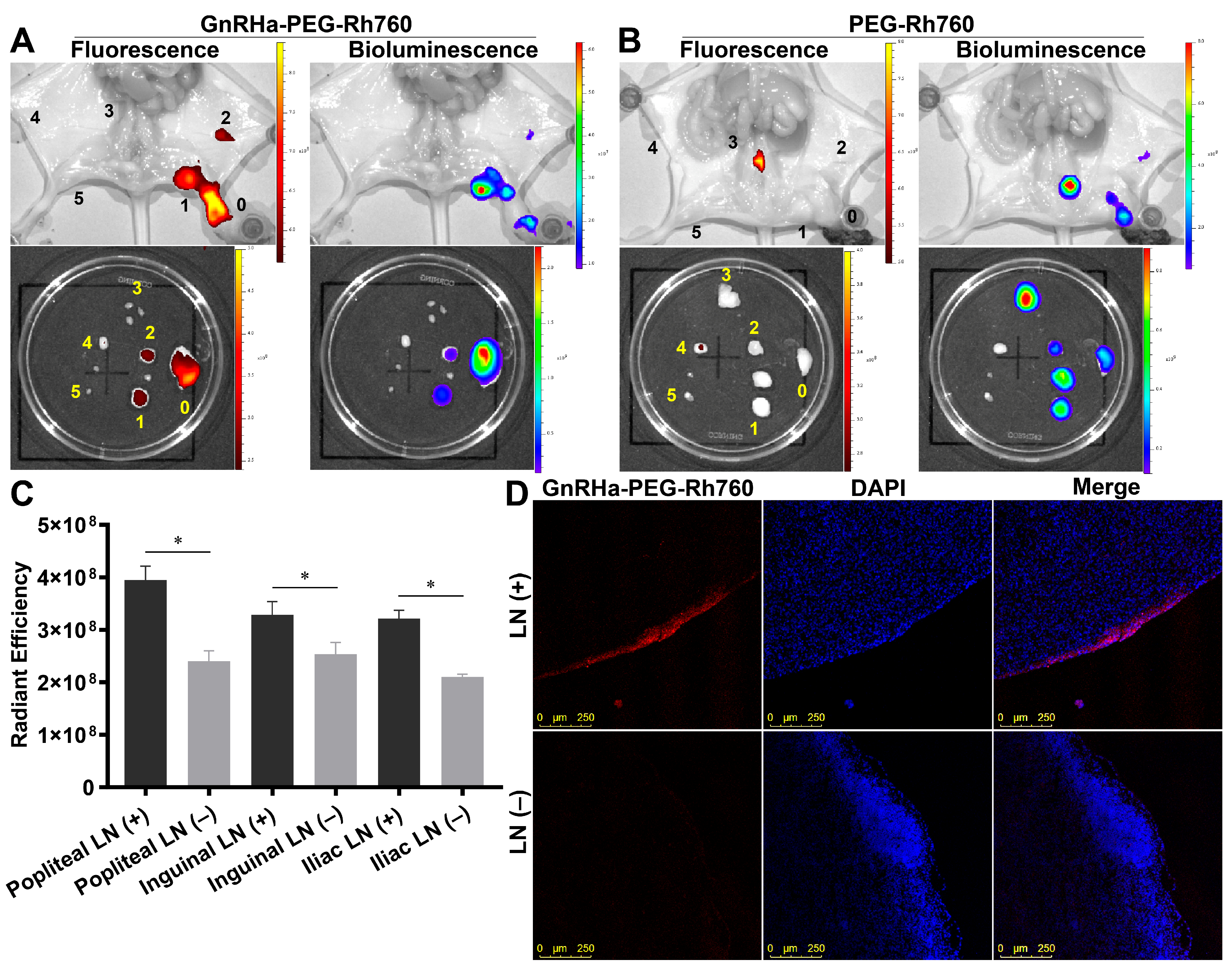 Biomolecules 15 00868 g005