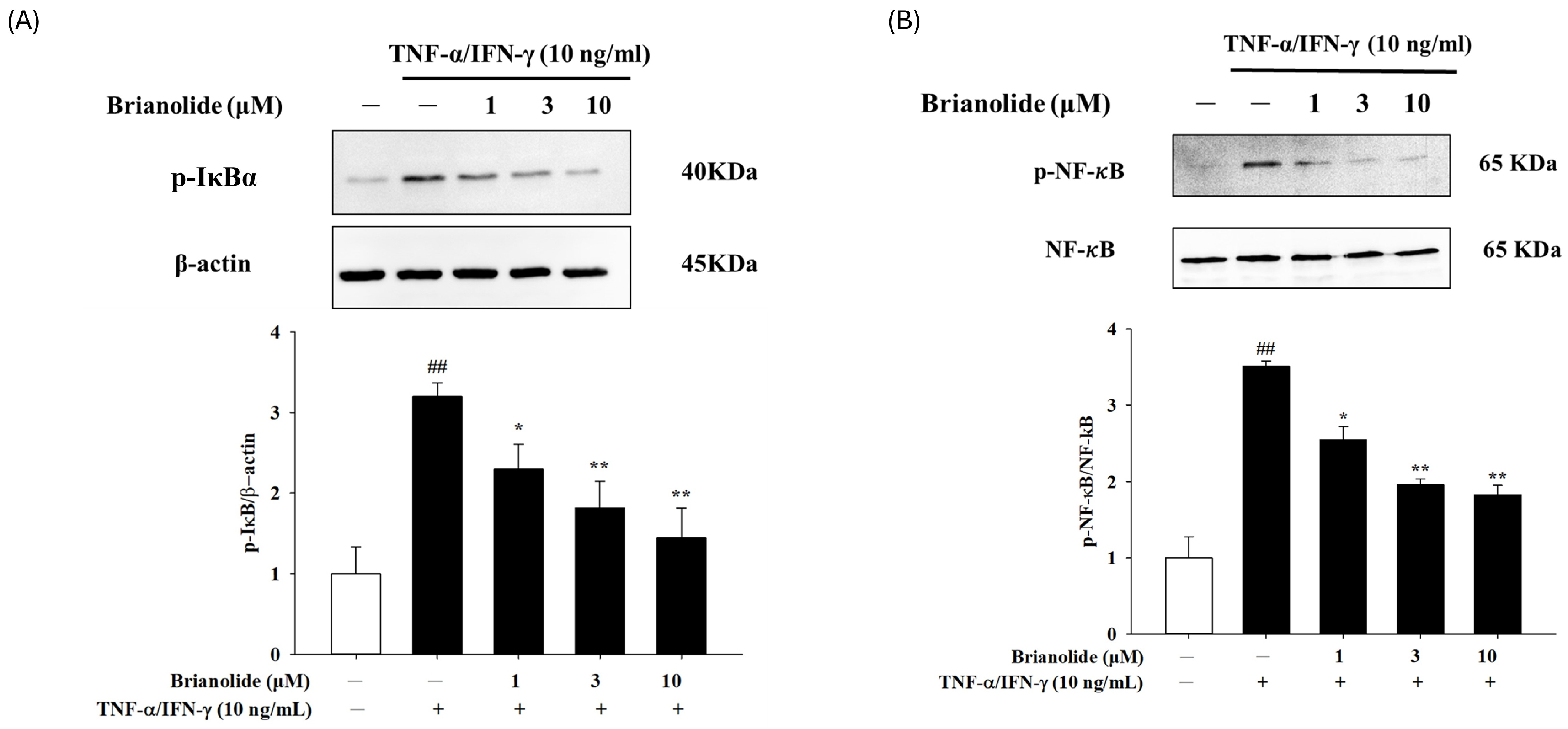 Biomolecules 15 00871 g006