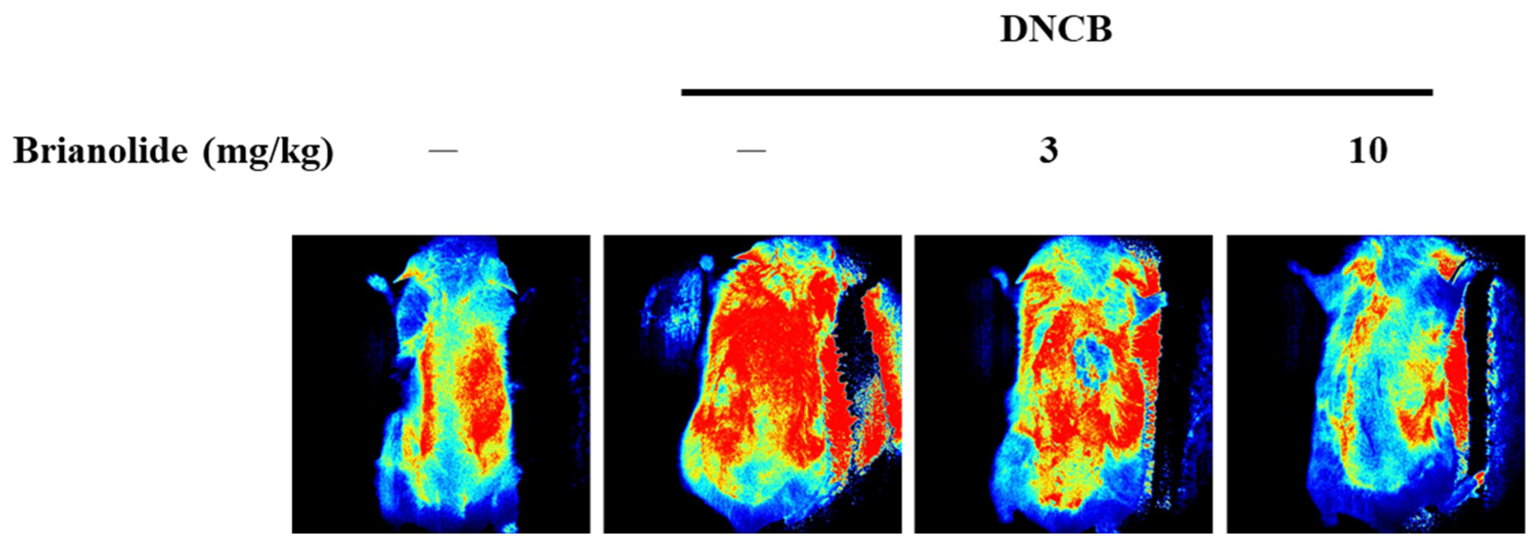 Biomolecules 15 00871 g008