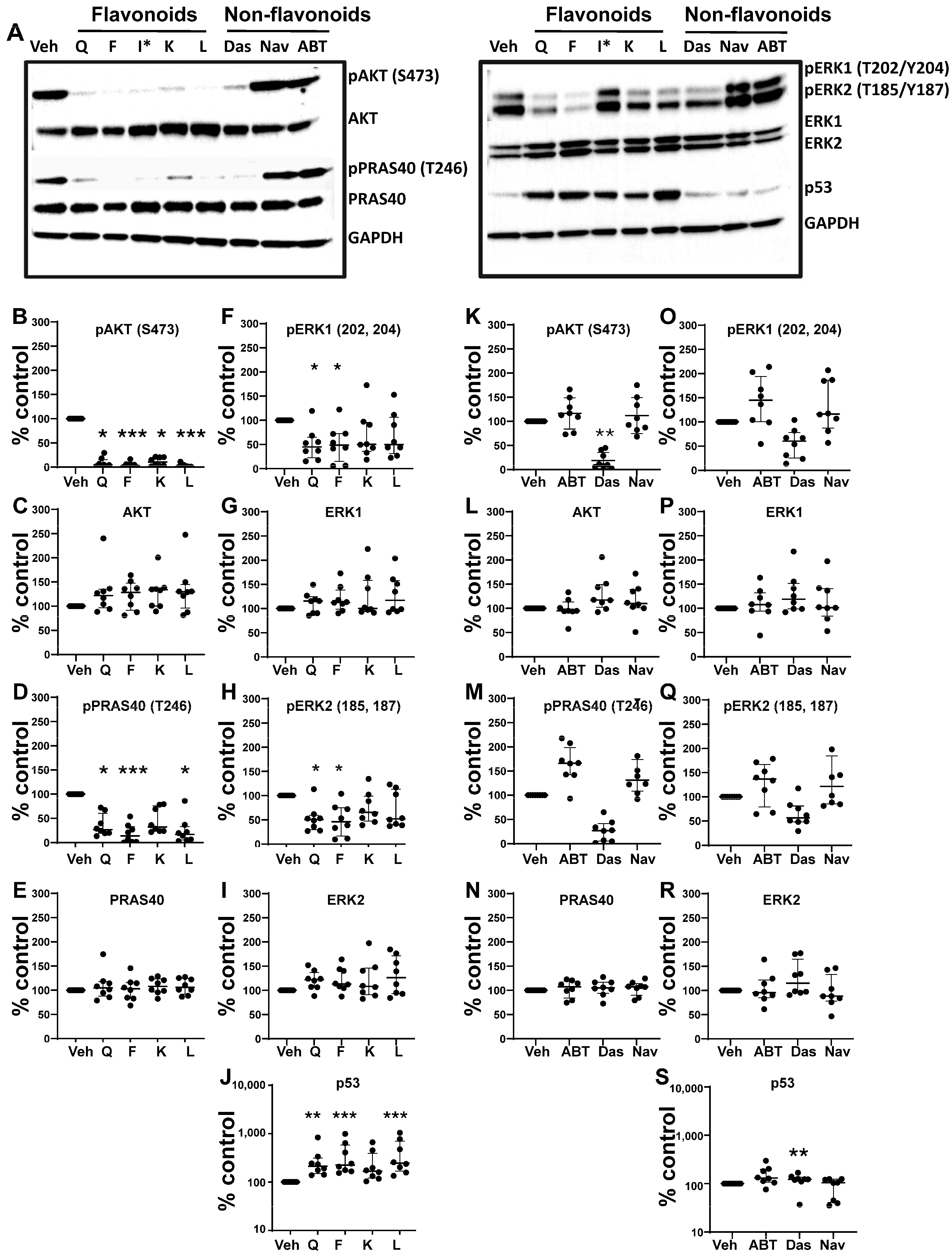 Biomolecules 15 00873 g005