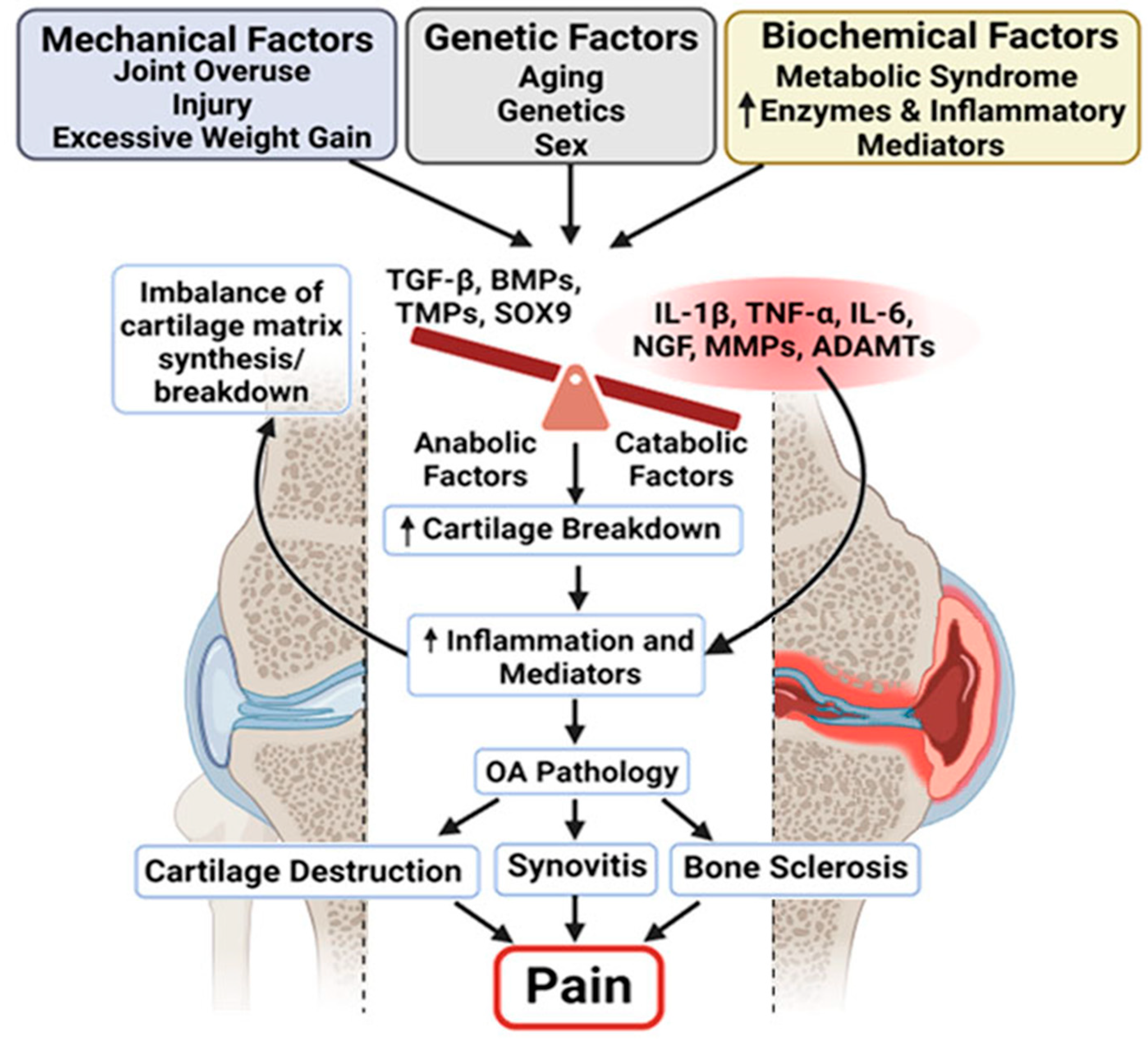 Biomolecules 15 00874 g002