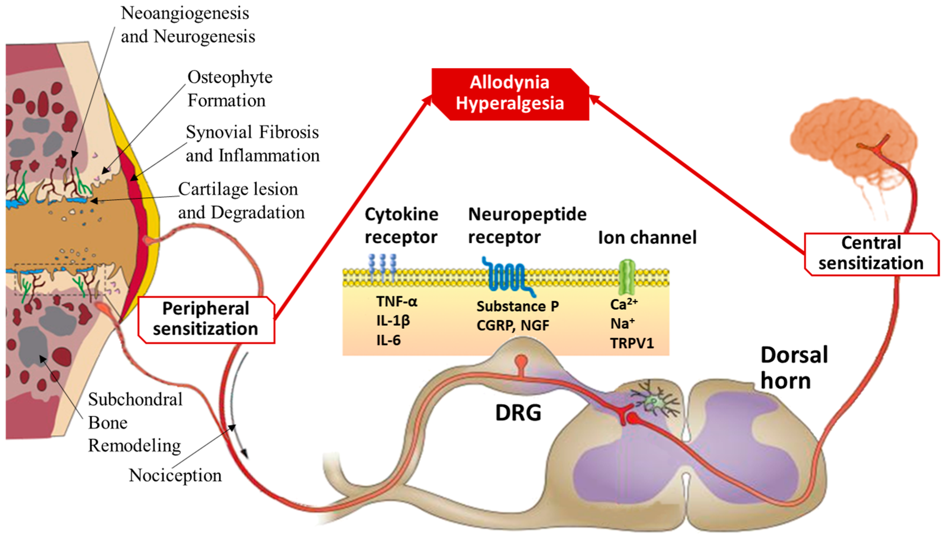Biomolecules 15 00874 g003