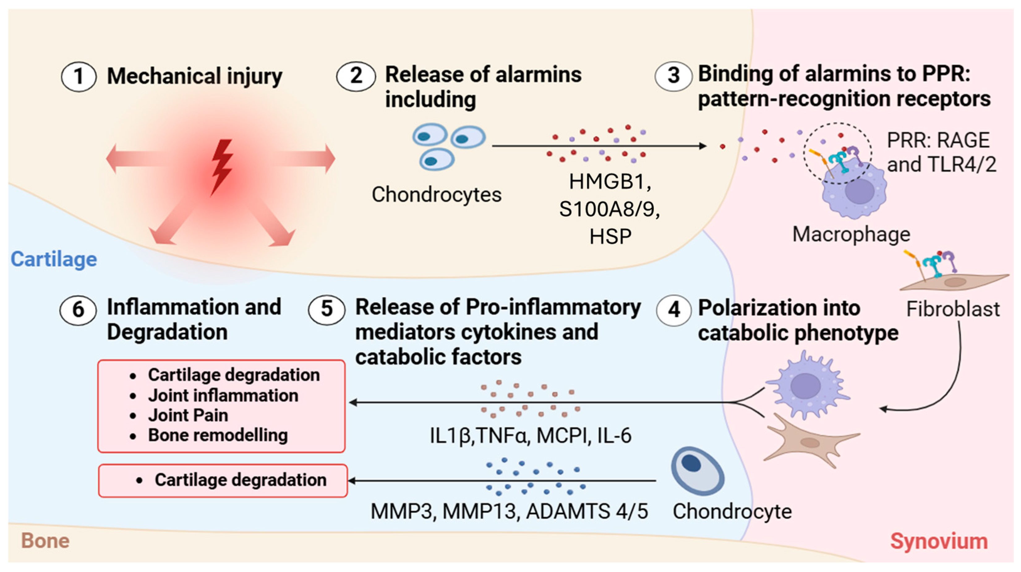 Biomolecules 15 00874 g004