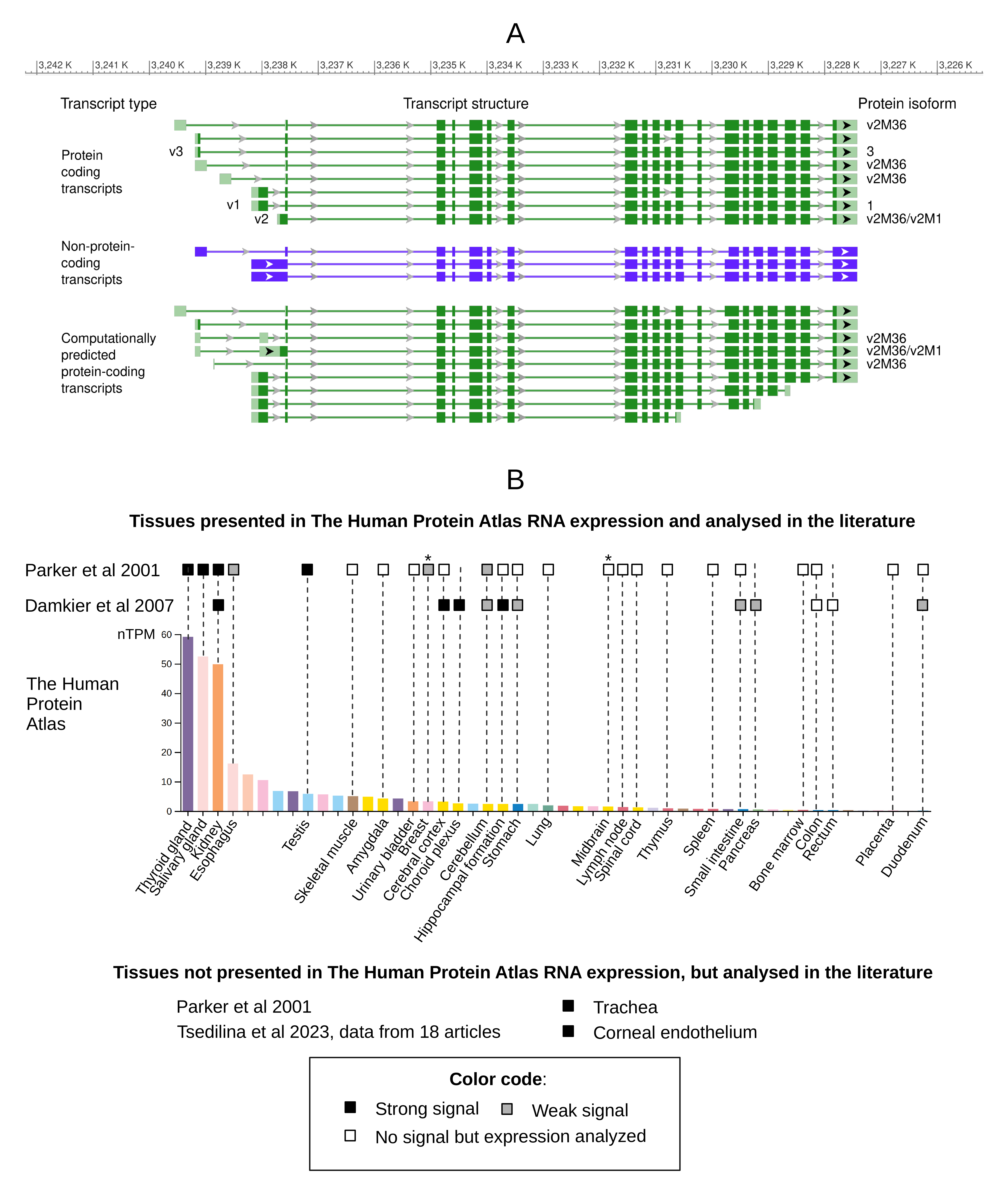 Biomolecules 15 00875 g001