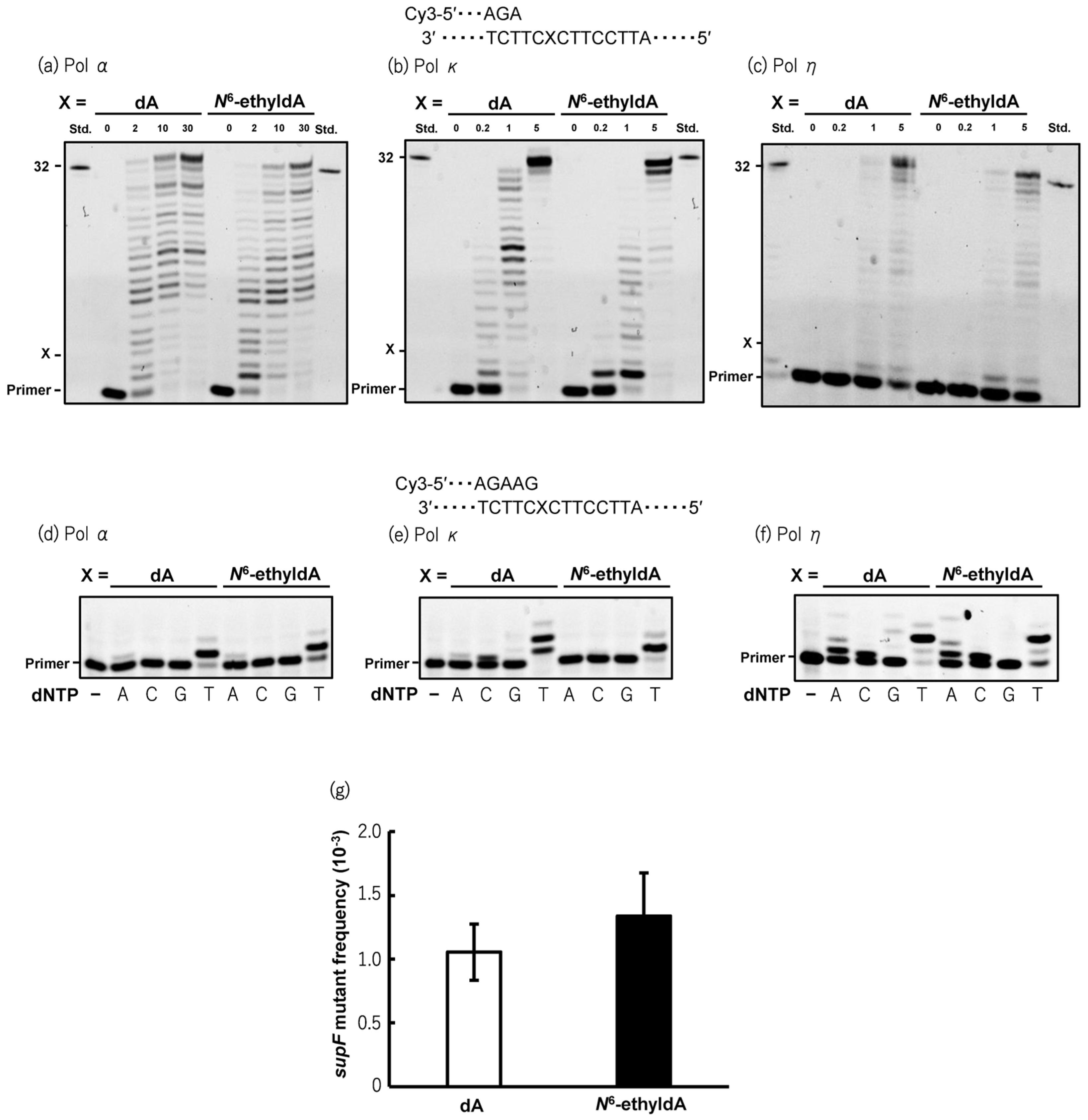 Biomolecules 15 00878 g002 Biomolecules 15 00878 g002