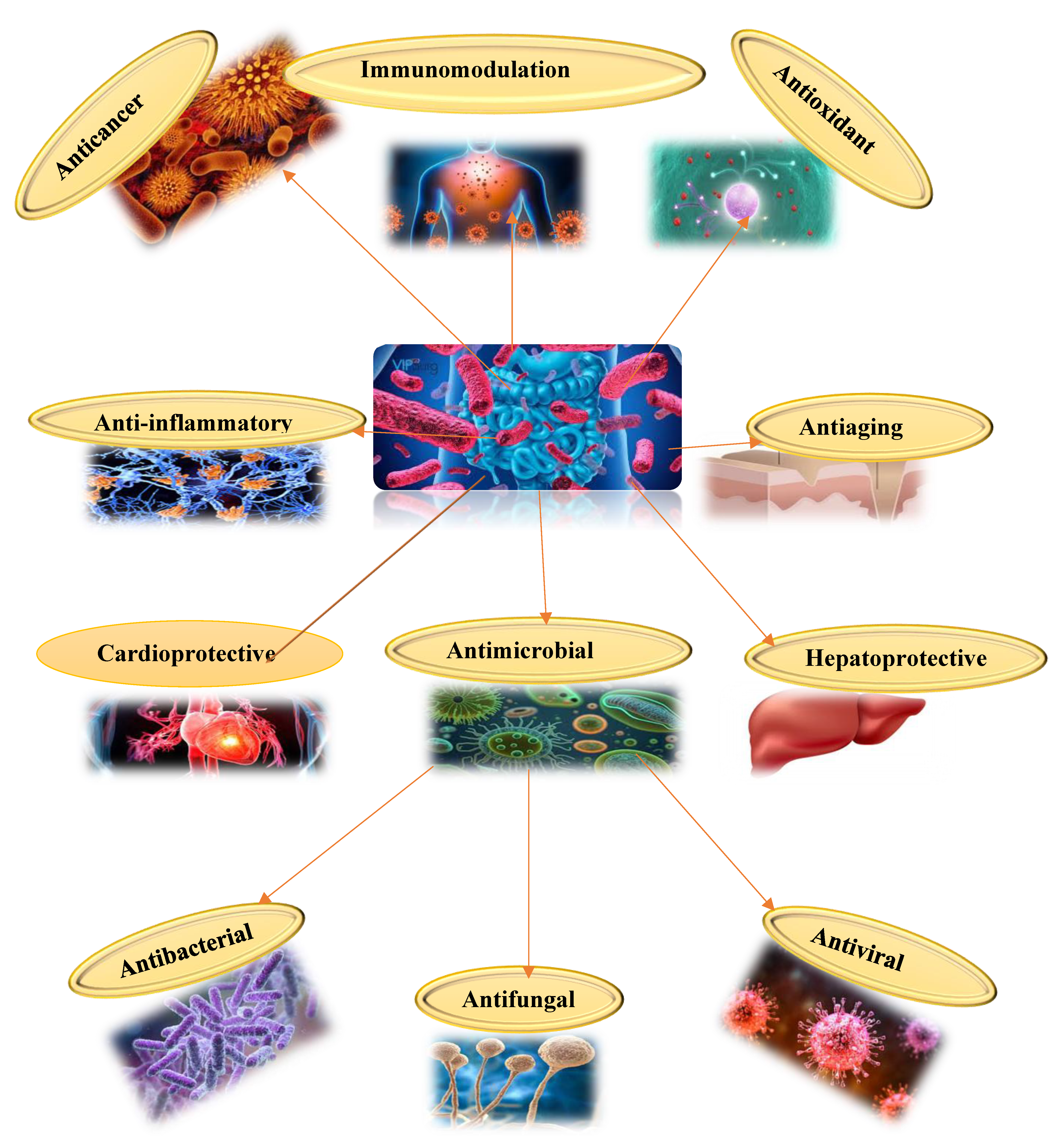 Biomolecules 15 00879 g001