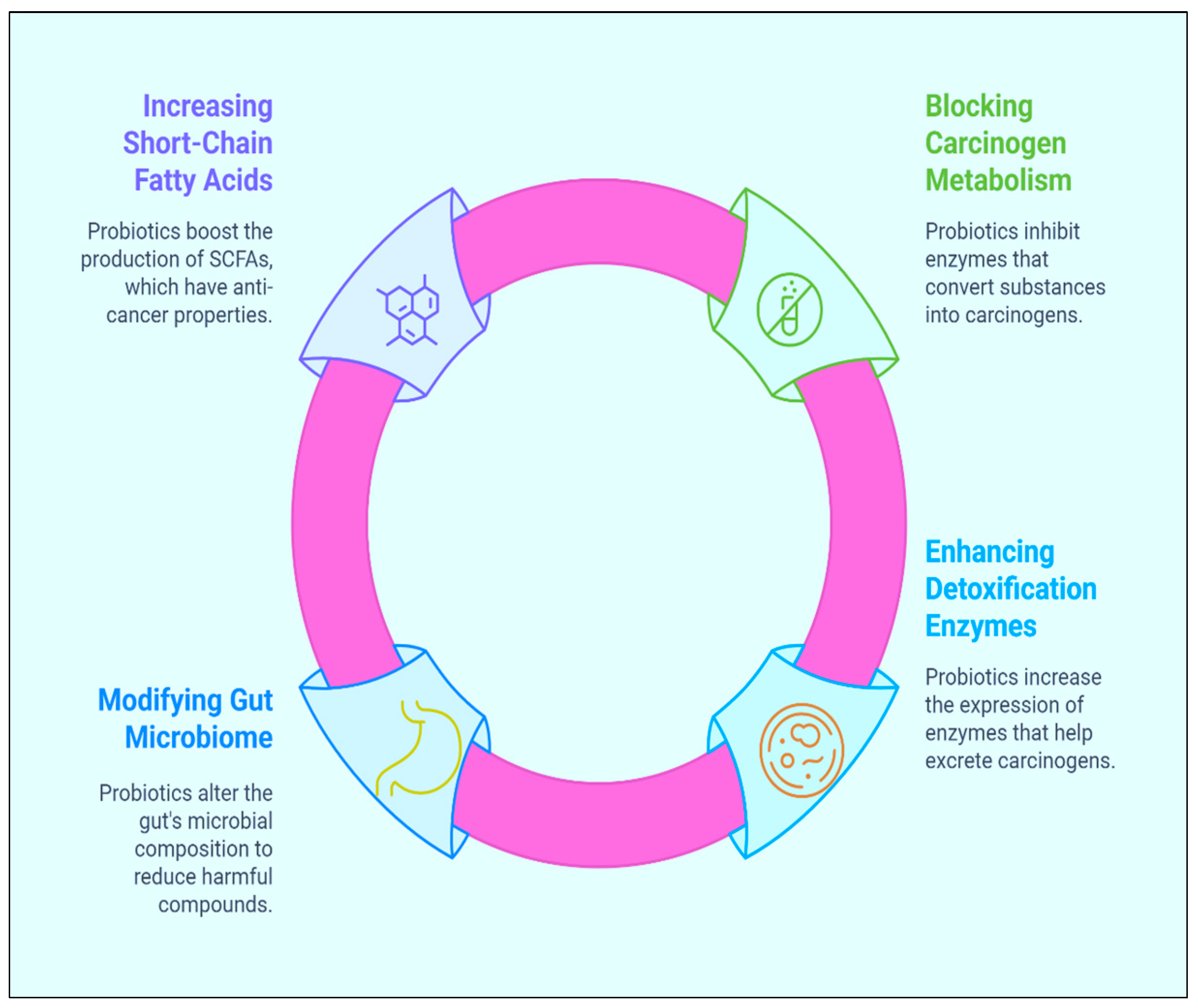 Biomolecules 15 00879 g003