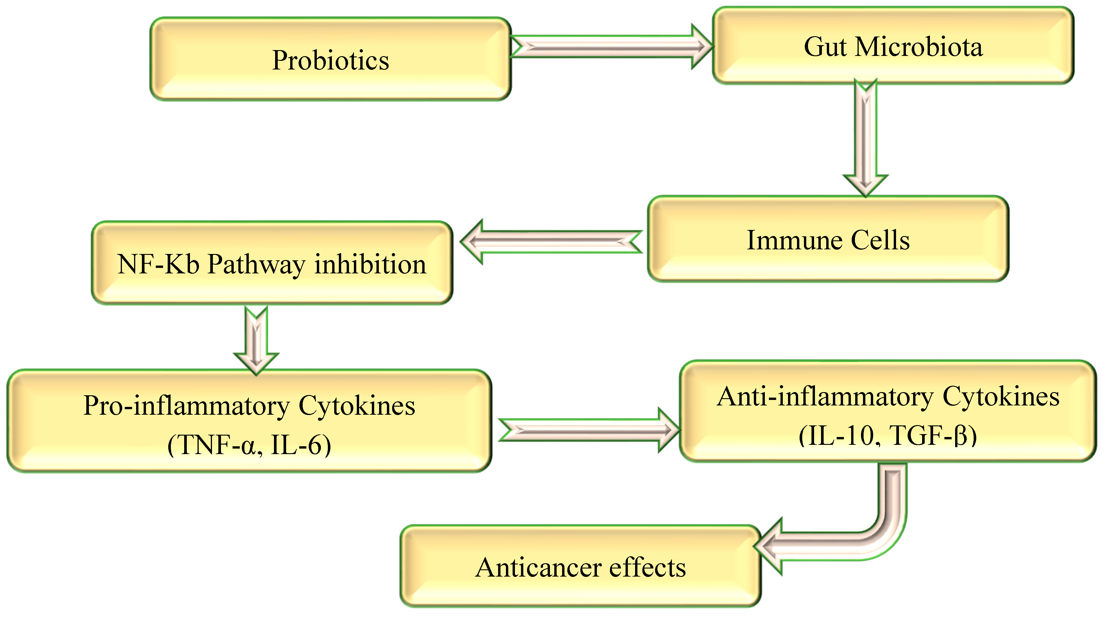 Biomolecules 15 00879 g005