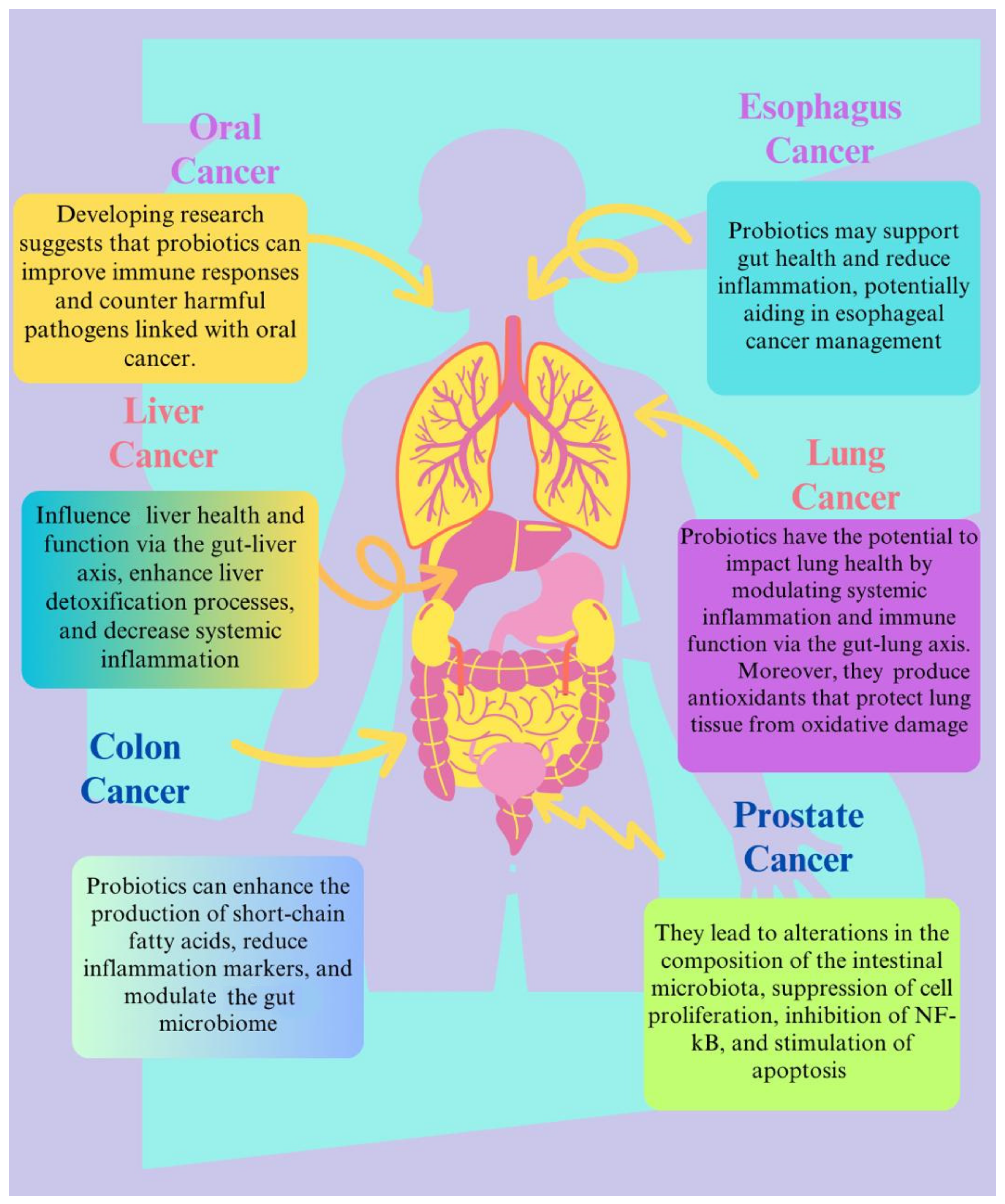 Biomolecules 15 00879 g007