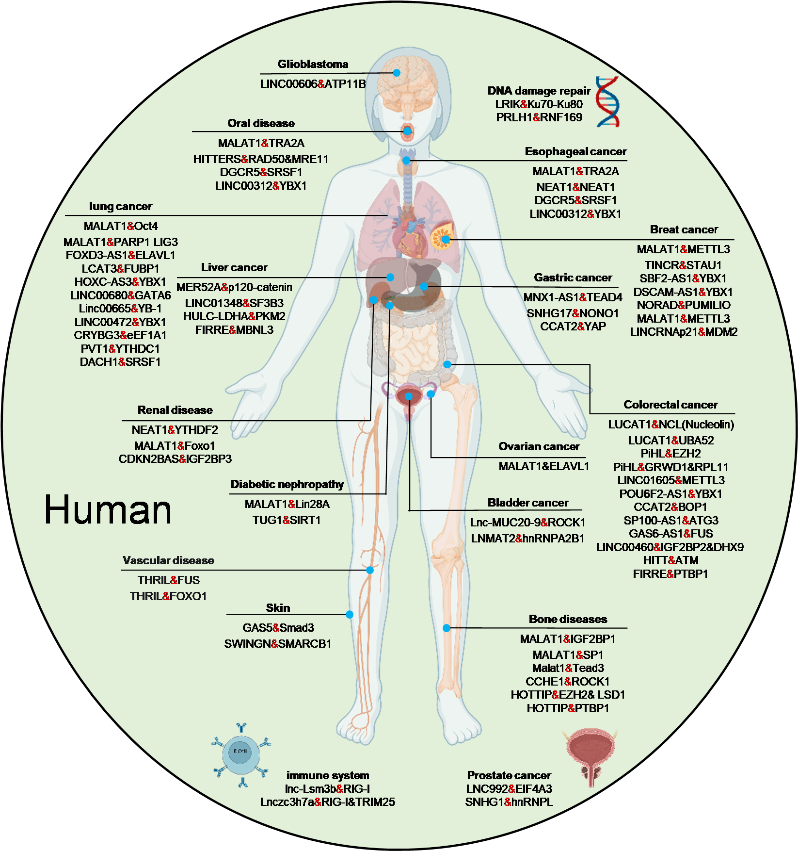 Biomolecules 15 00881 g002