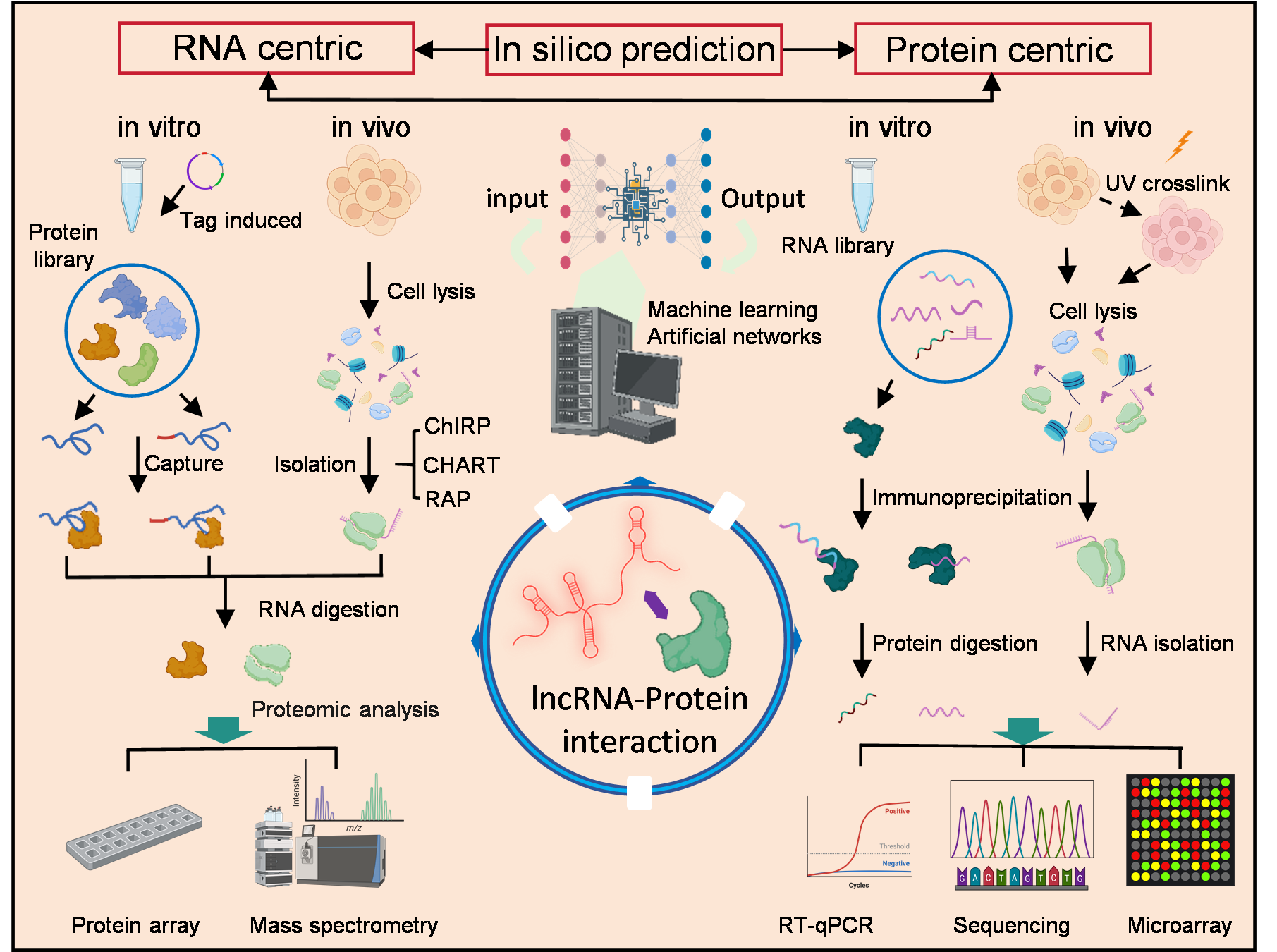 Biomolecules 15 00881 g003