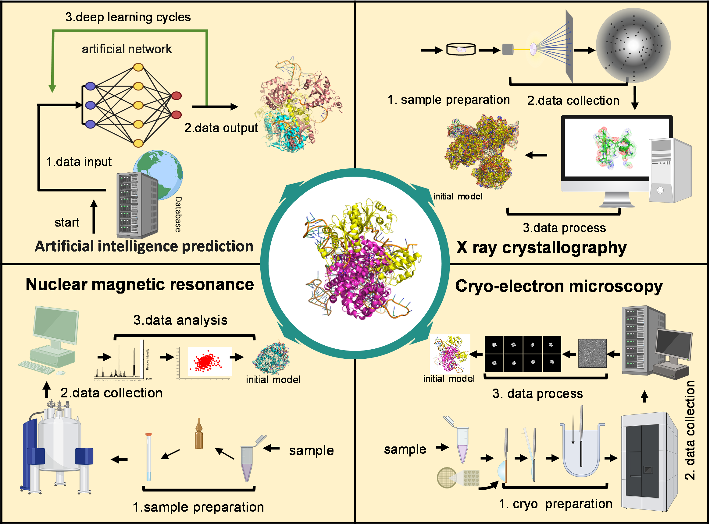 Biomolecules 15 00881 g004