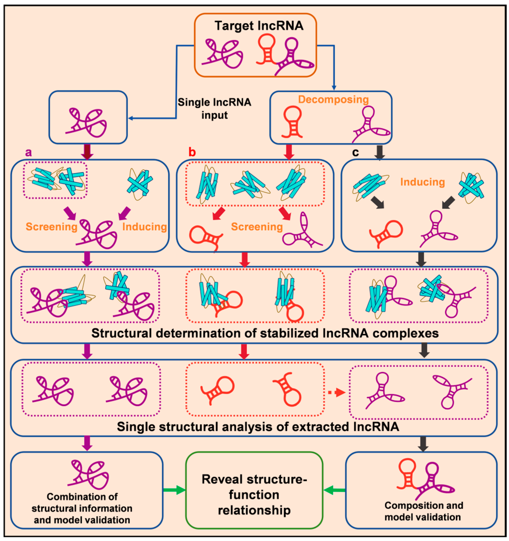 Biomolecules 15 00881 g005
