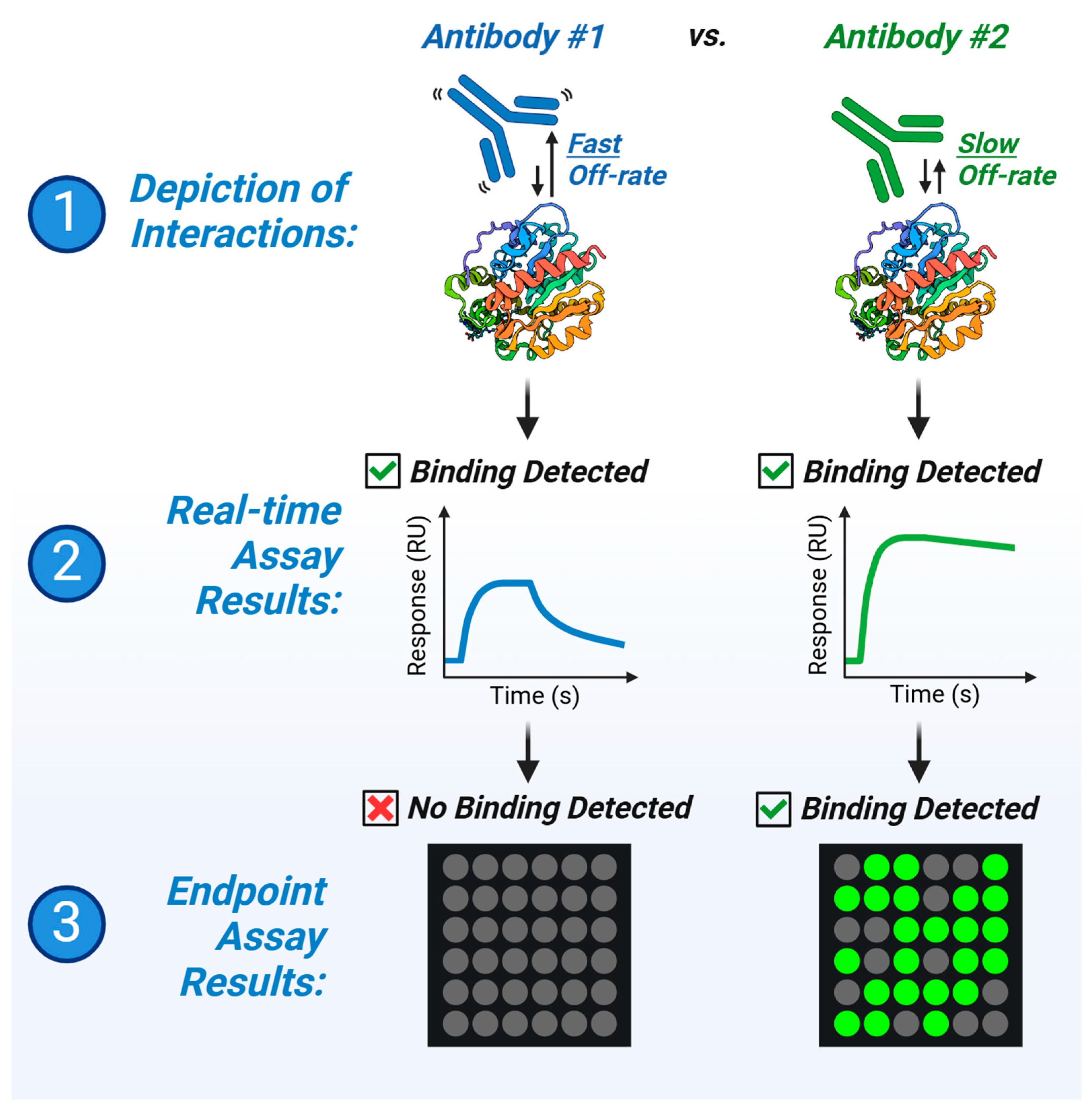 Biomolecules 15 00882 g001