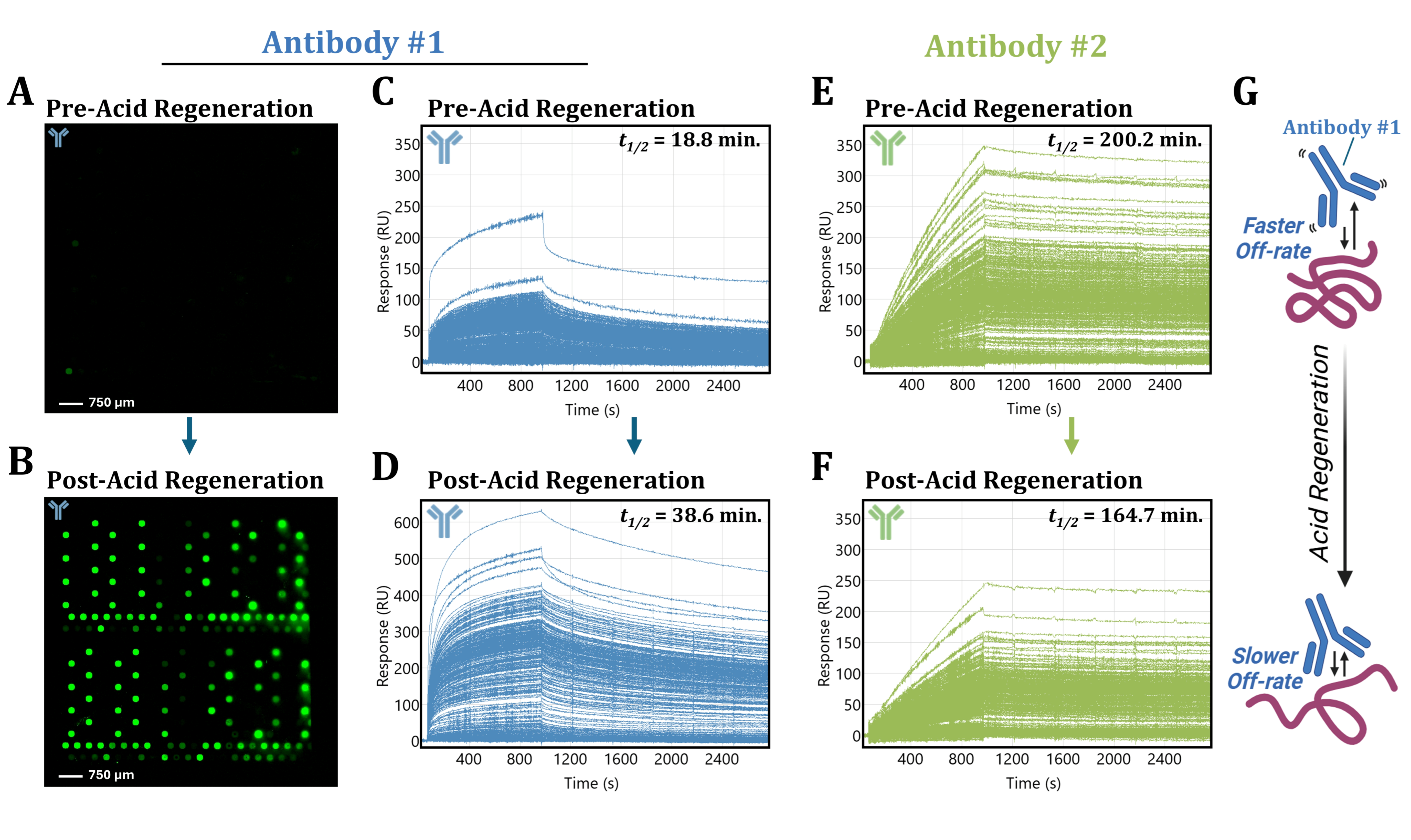 Biomolecules 15 00882 g004