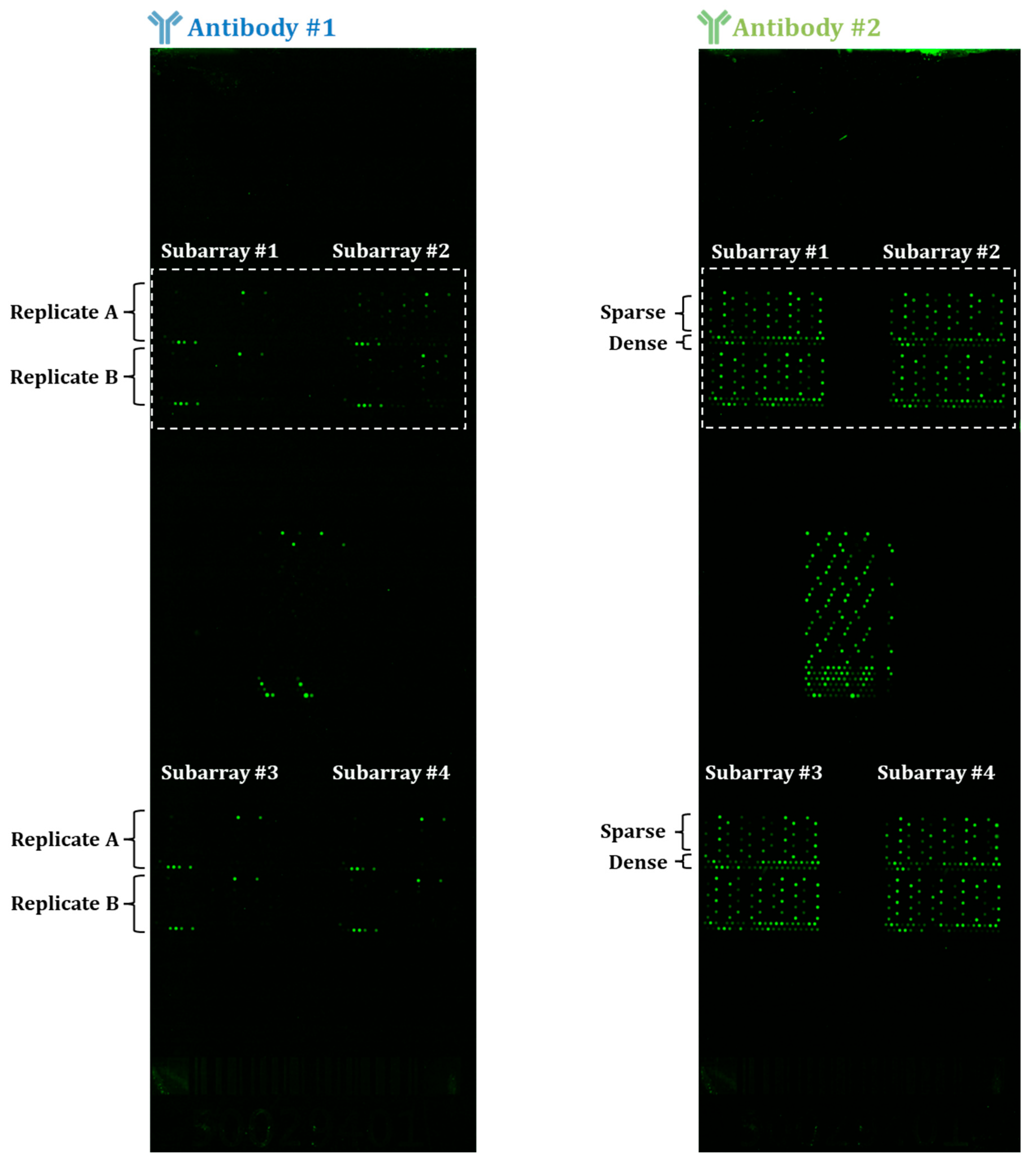 Biomolecules 15 00882 g0a1