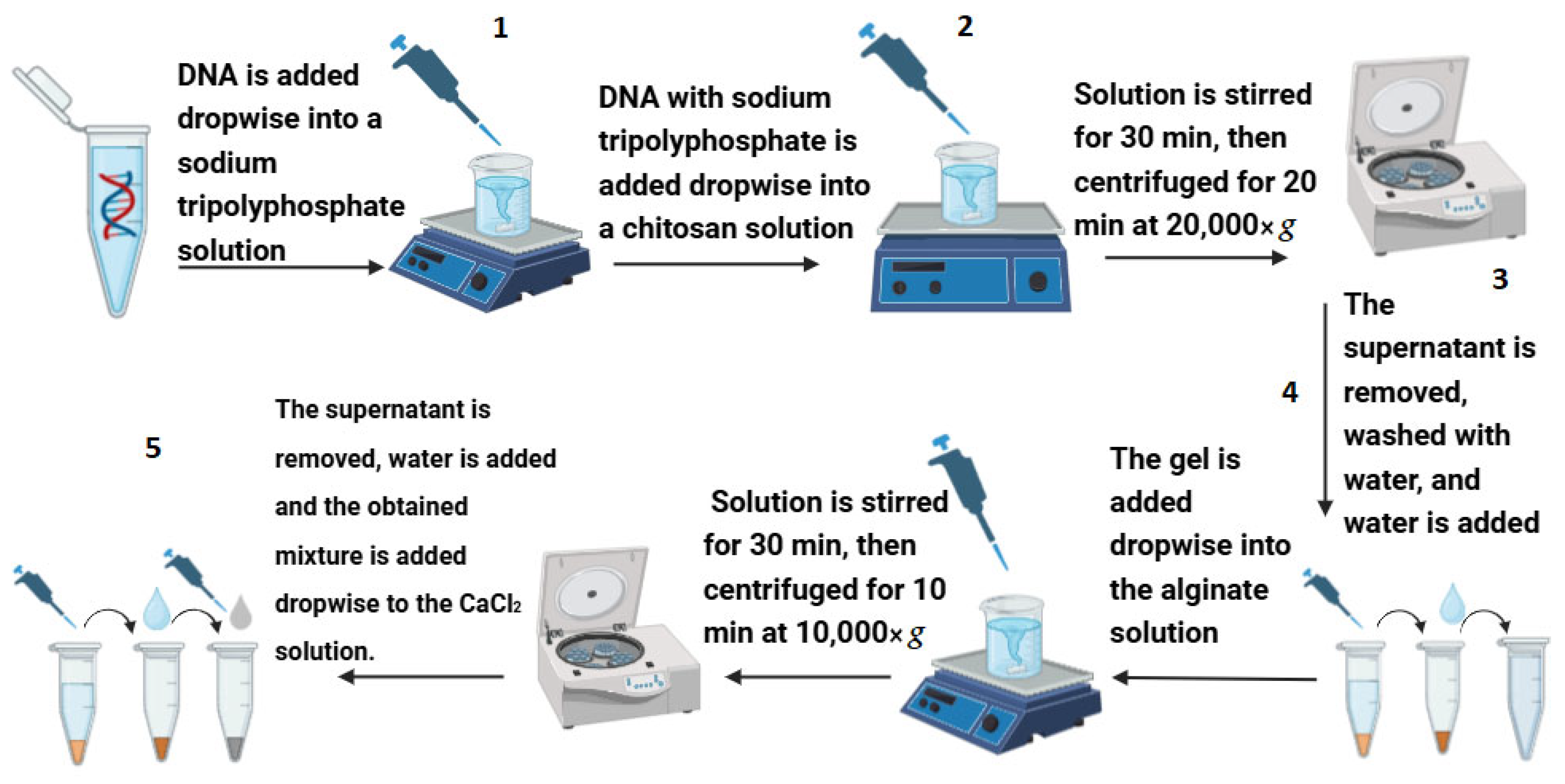 Biomolecules 15 00889 g002