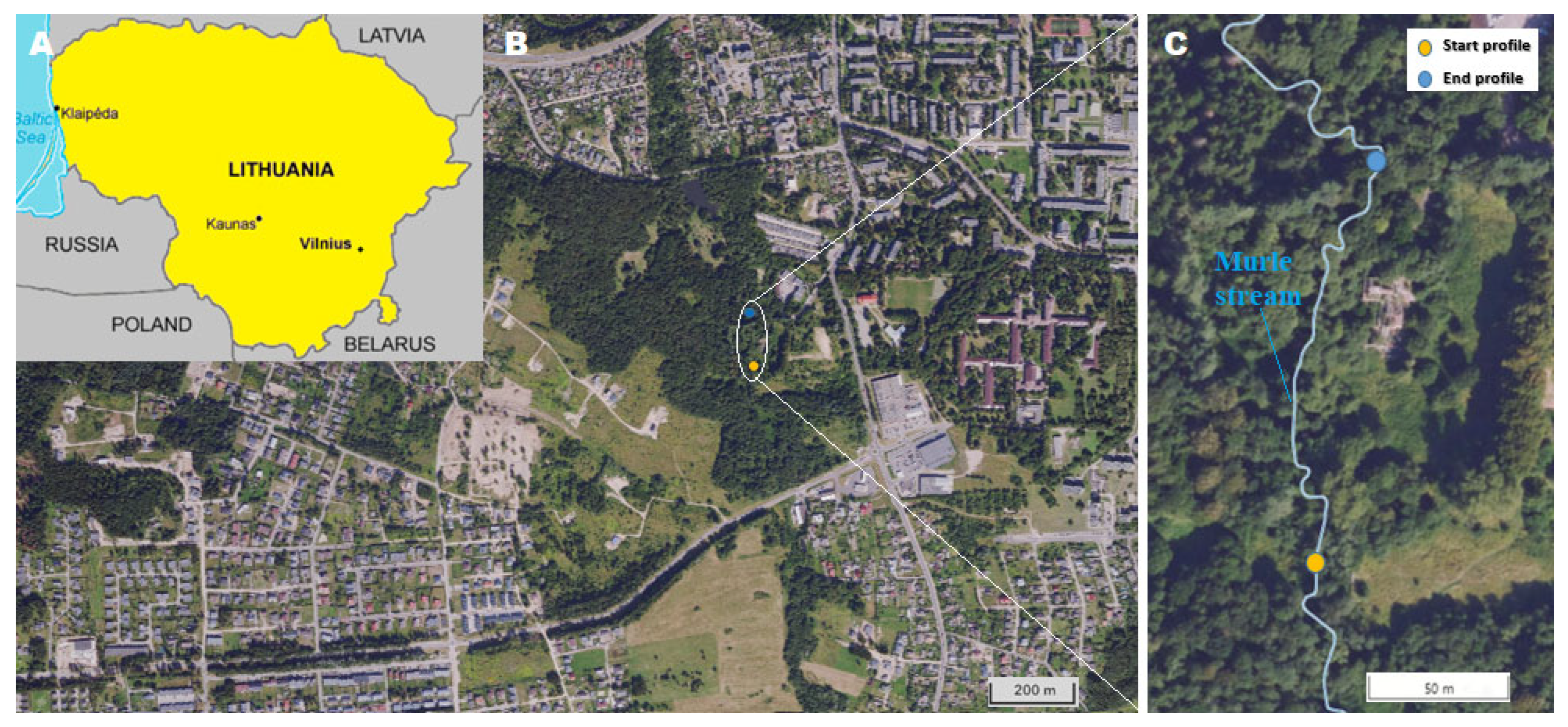 Biomolecules 15 00889 g003