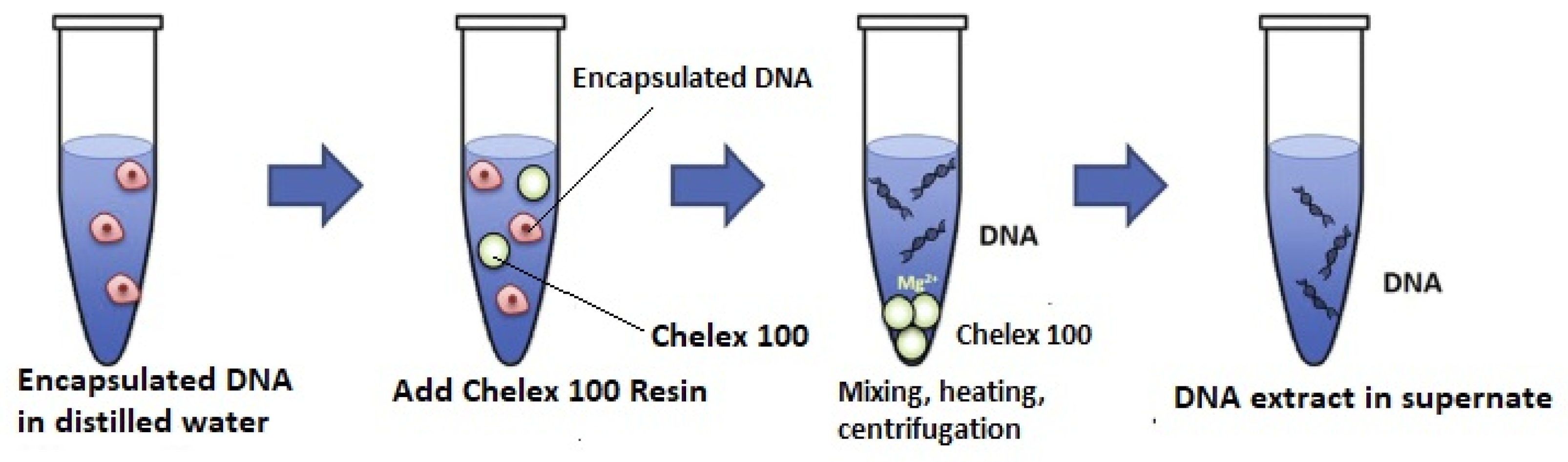 Biomolecules 15 00889 g004