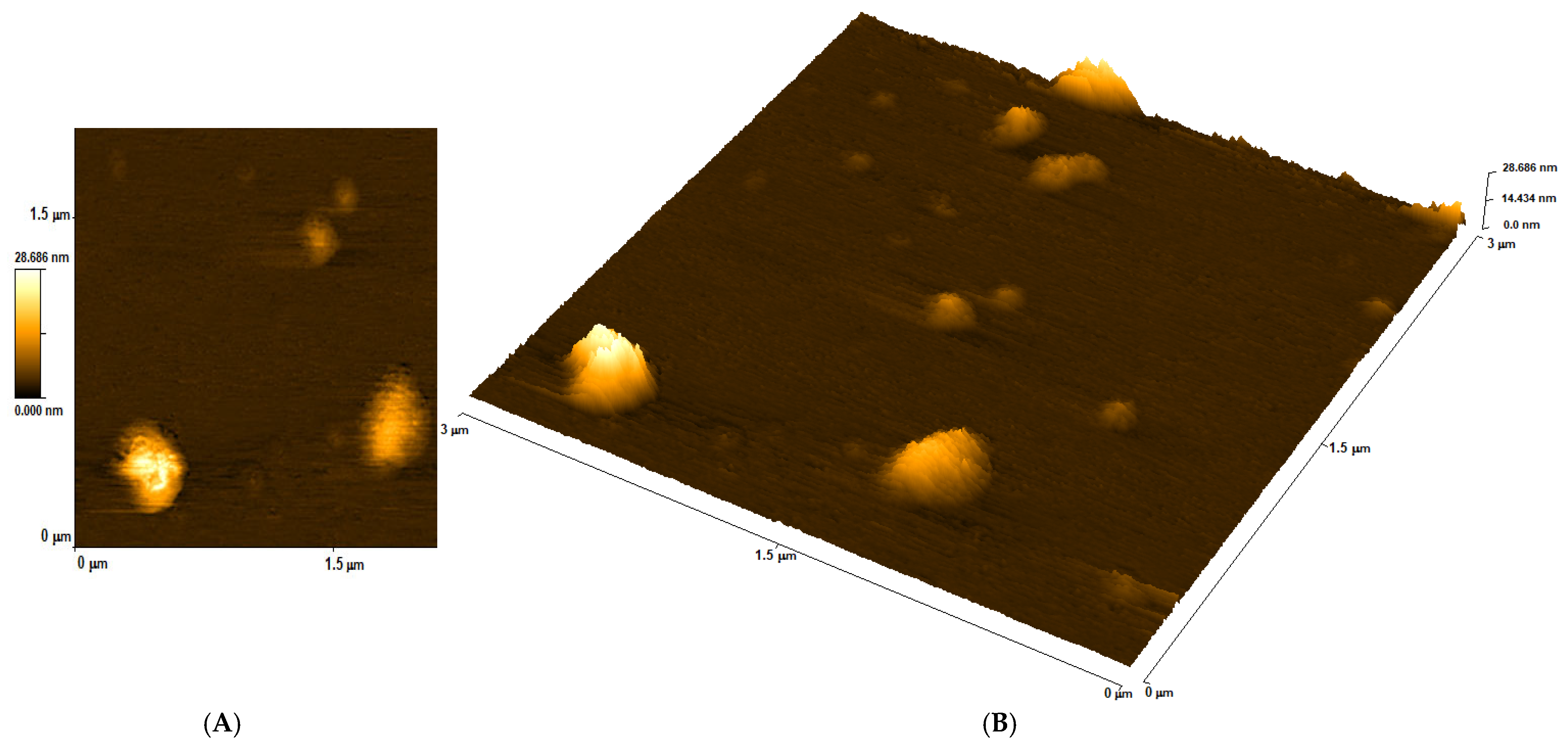 Biomolecules 15 00889 g005